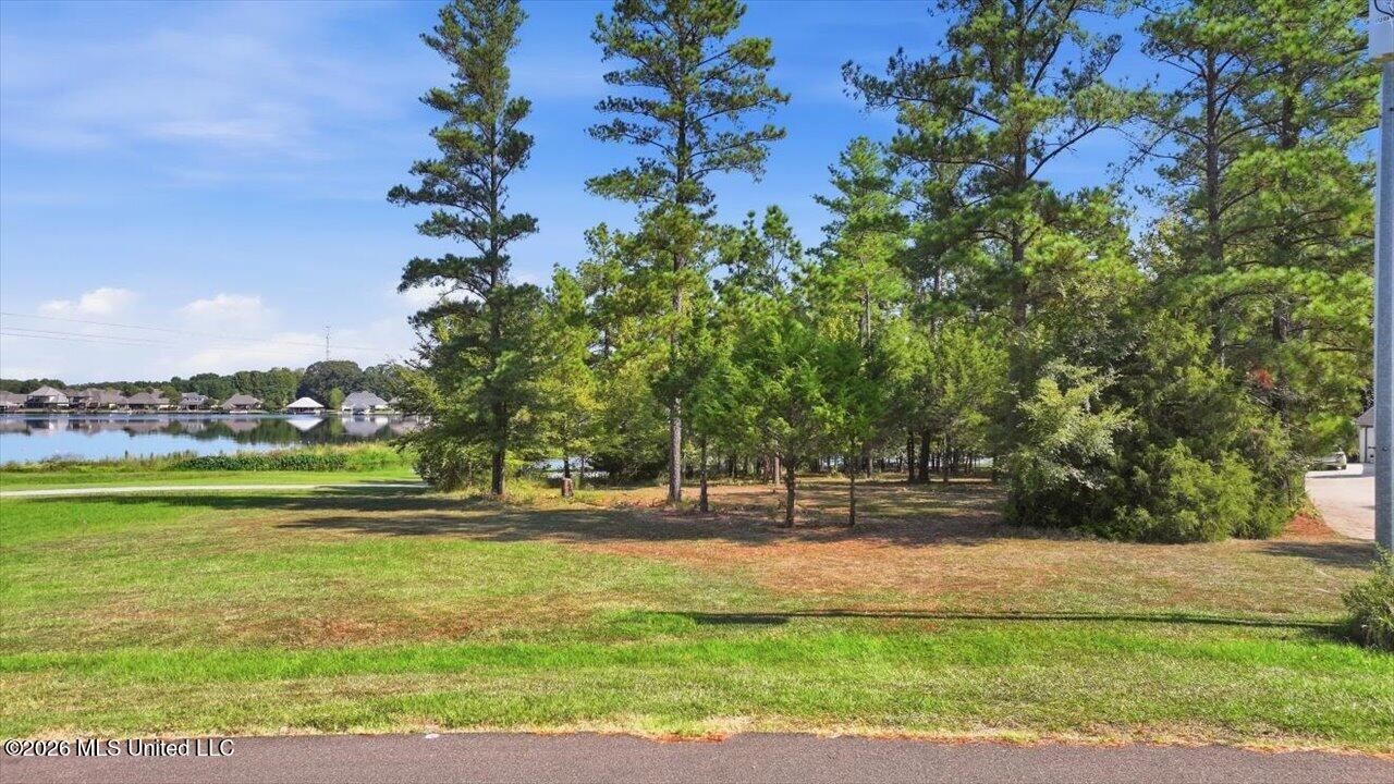 164 Lake Ridge Drive Property Photo 4