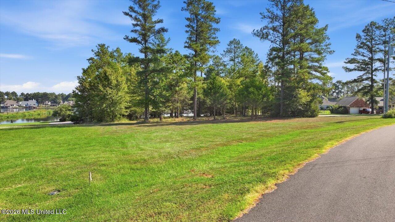 164 Lake Ridge Drive Property Photo 5