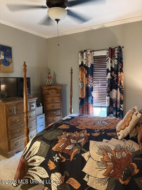 126 Marion Drive Property Photo 32