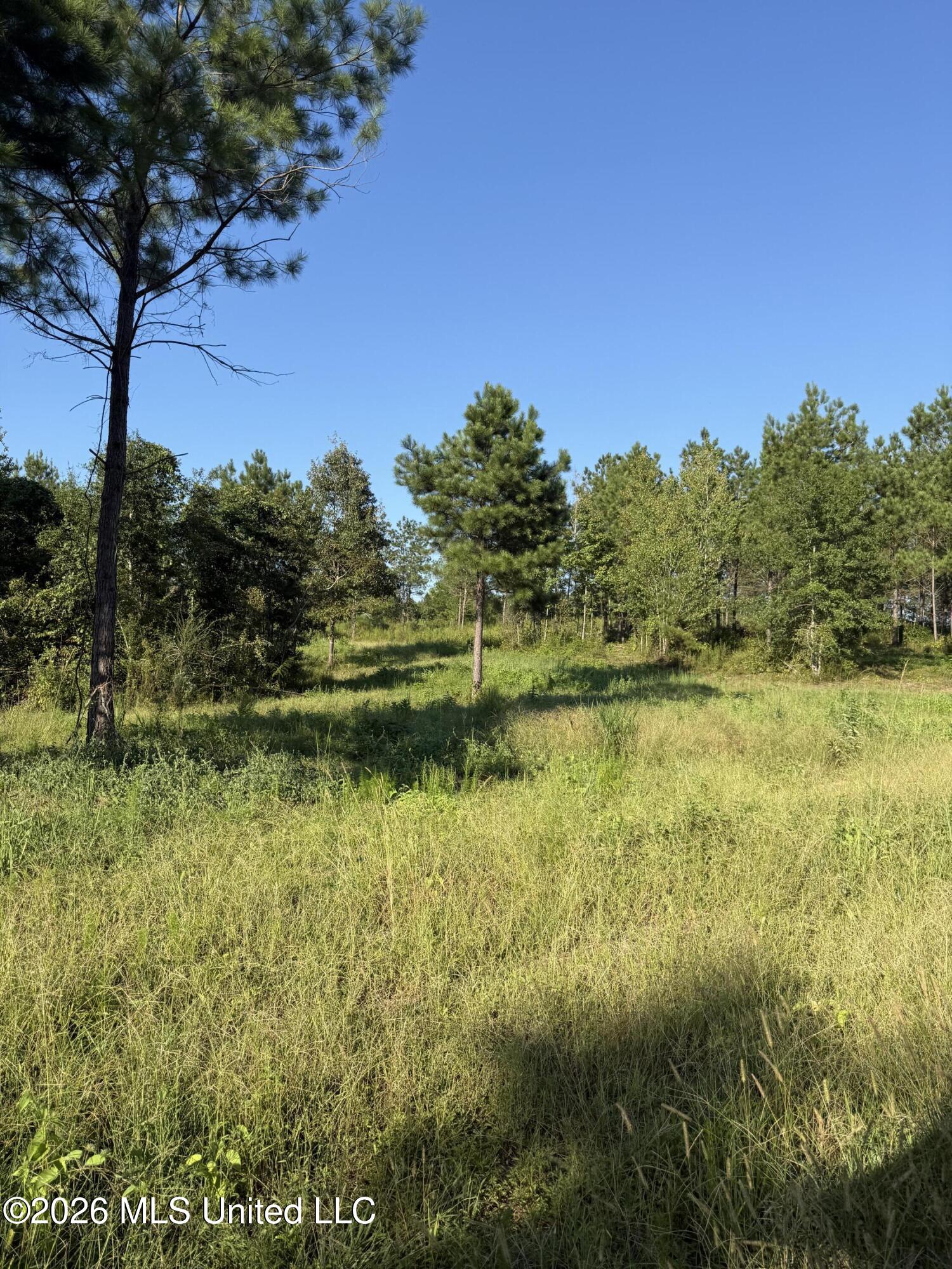 1099 Shell Oil Lane Property Photo 27