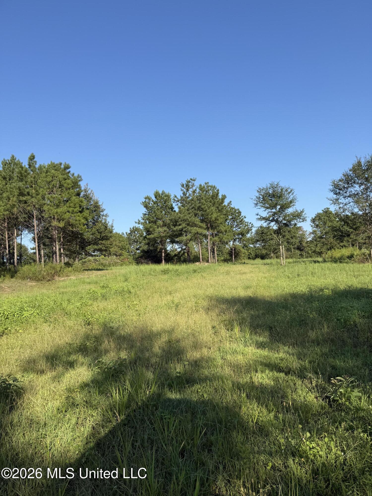 1099 Shell Oil Lane Property Photo 29