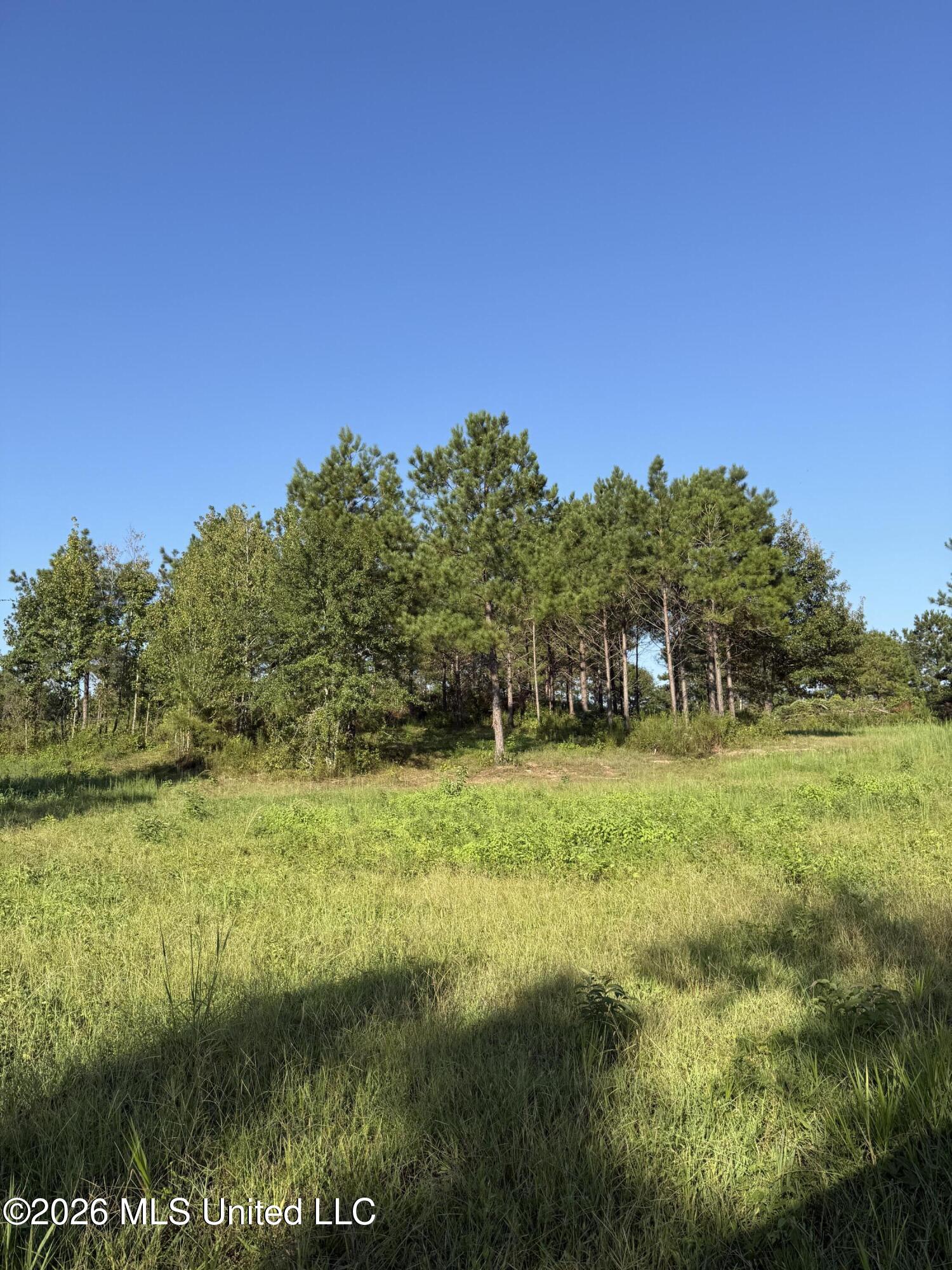 1099 Shell Oil Lane Property Photo 30