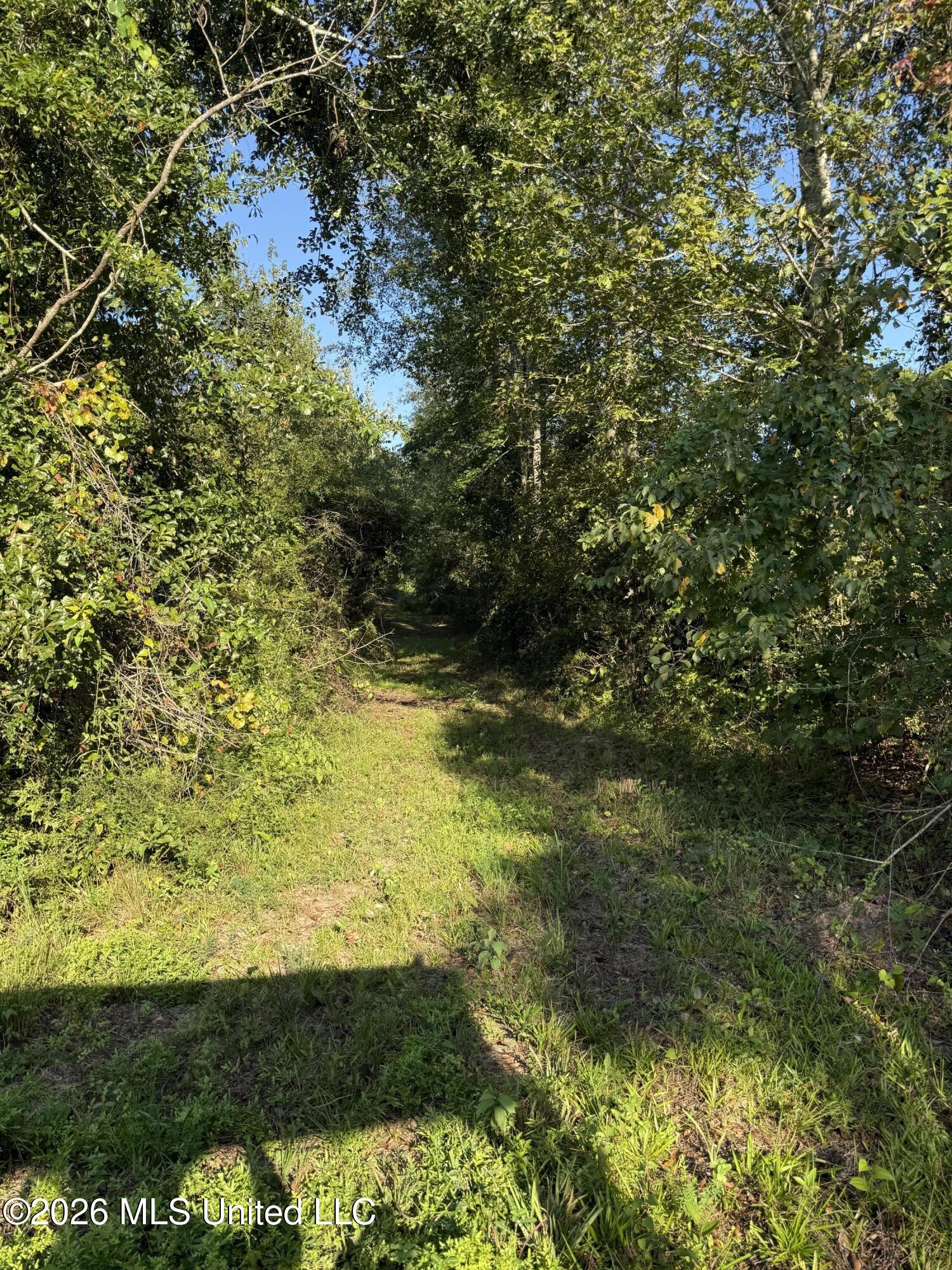 1099 Shell Oil Lane Property Photo 31