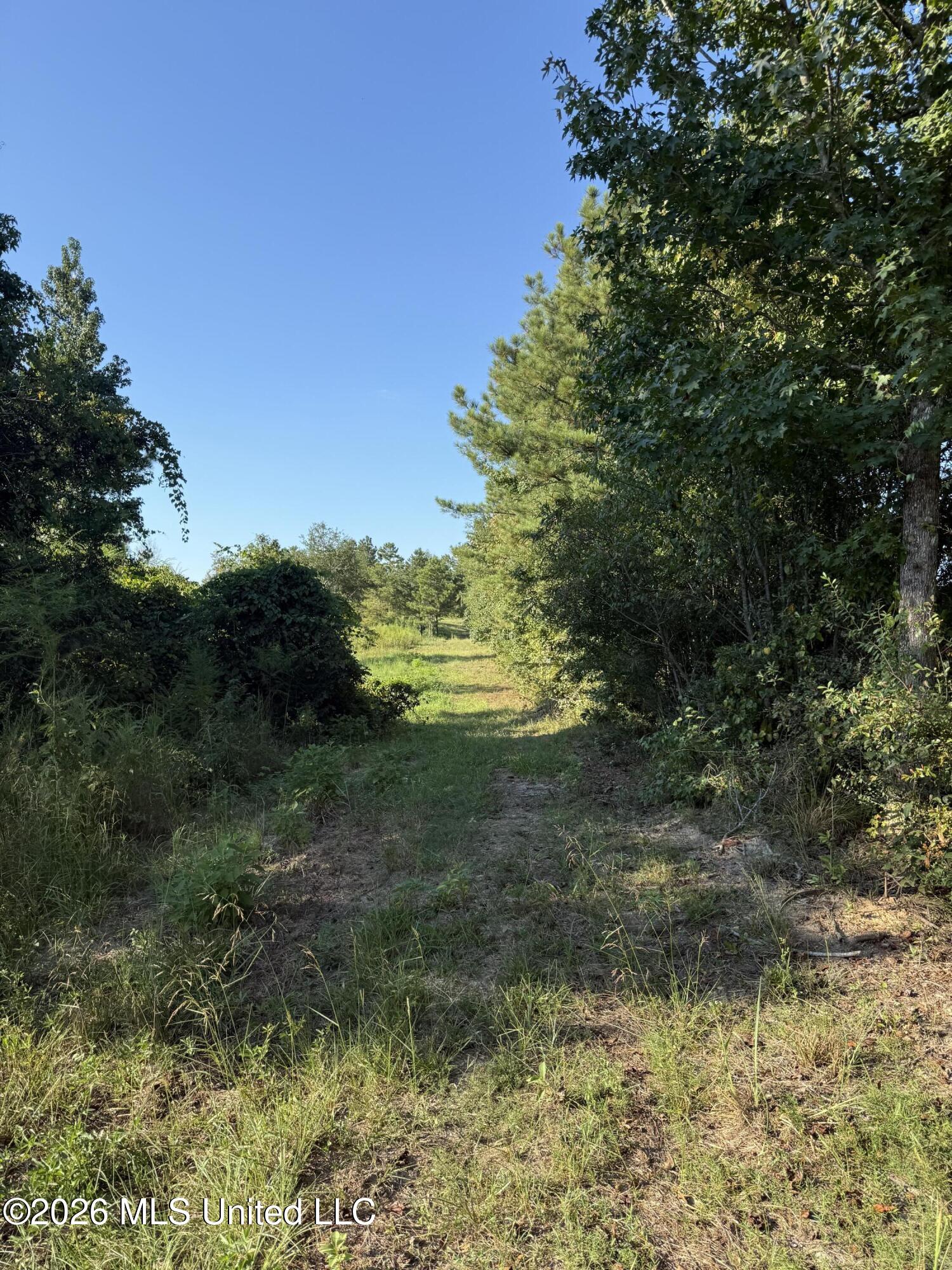 1099 Shell Oil Lane Property Photo 32