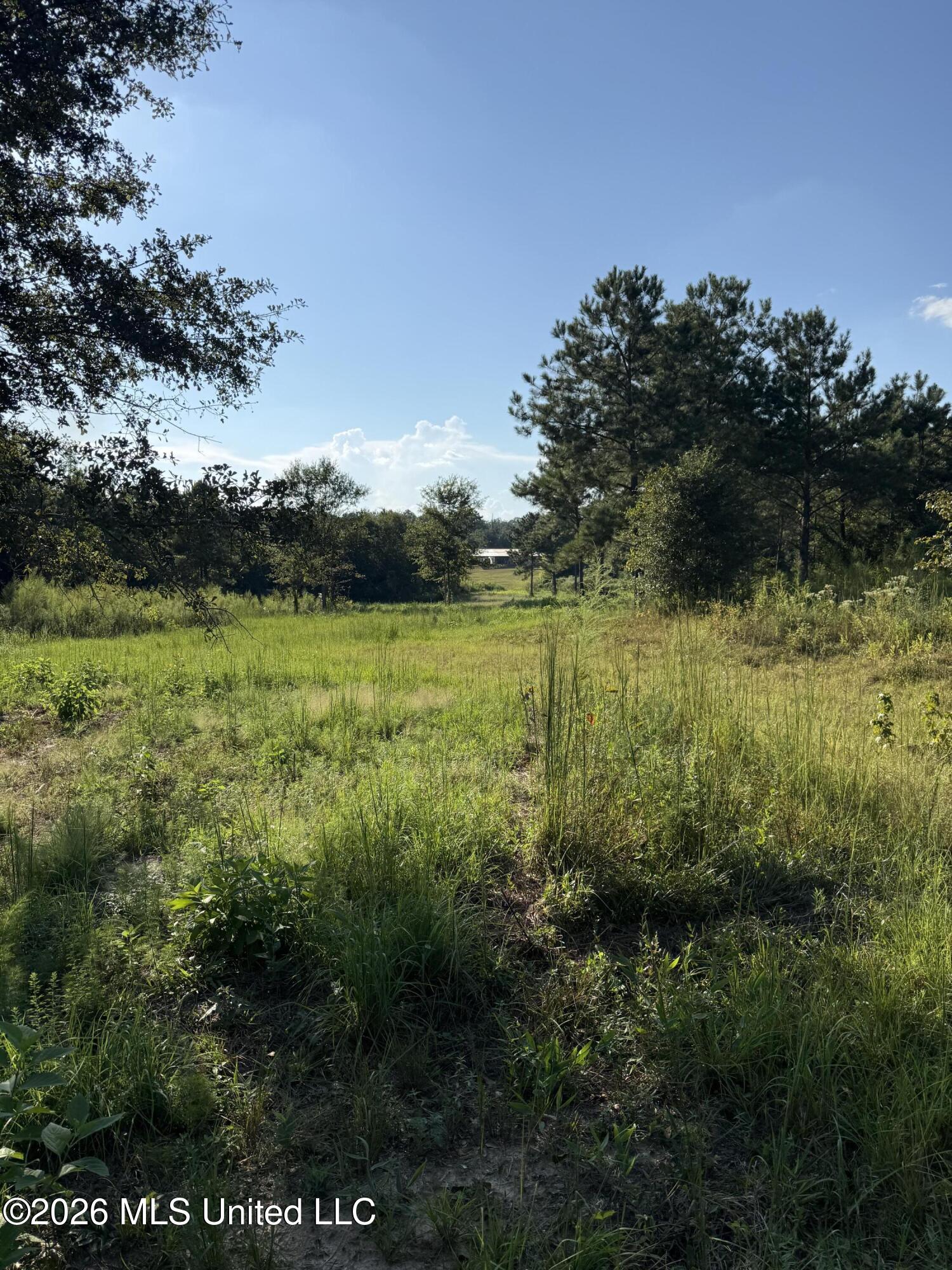 1099 Shell Oil Lane Property Photo 33