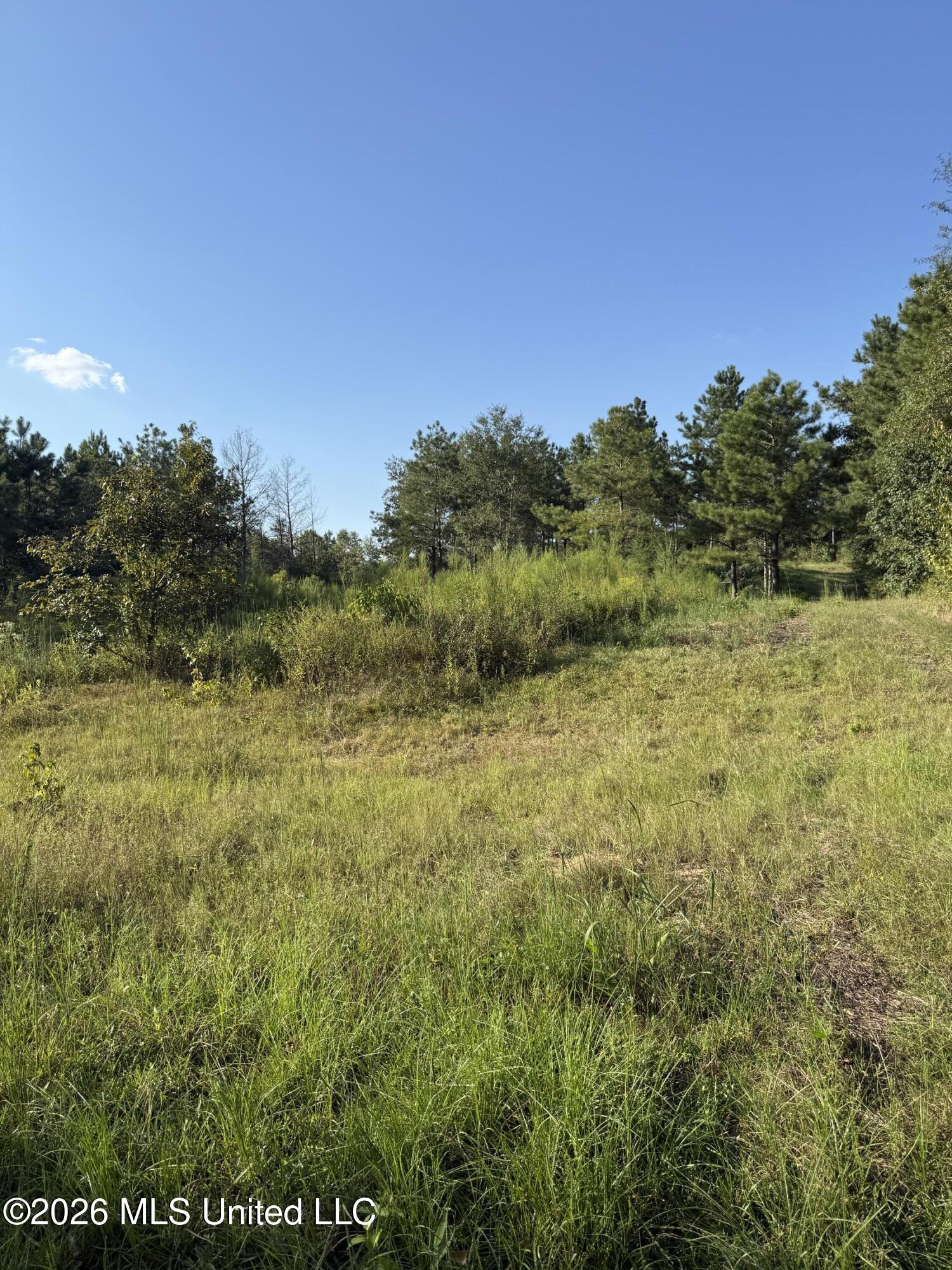 1099 Shell Oil Lane Property Photo 34