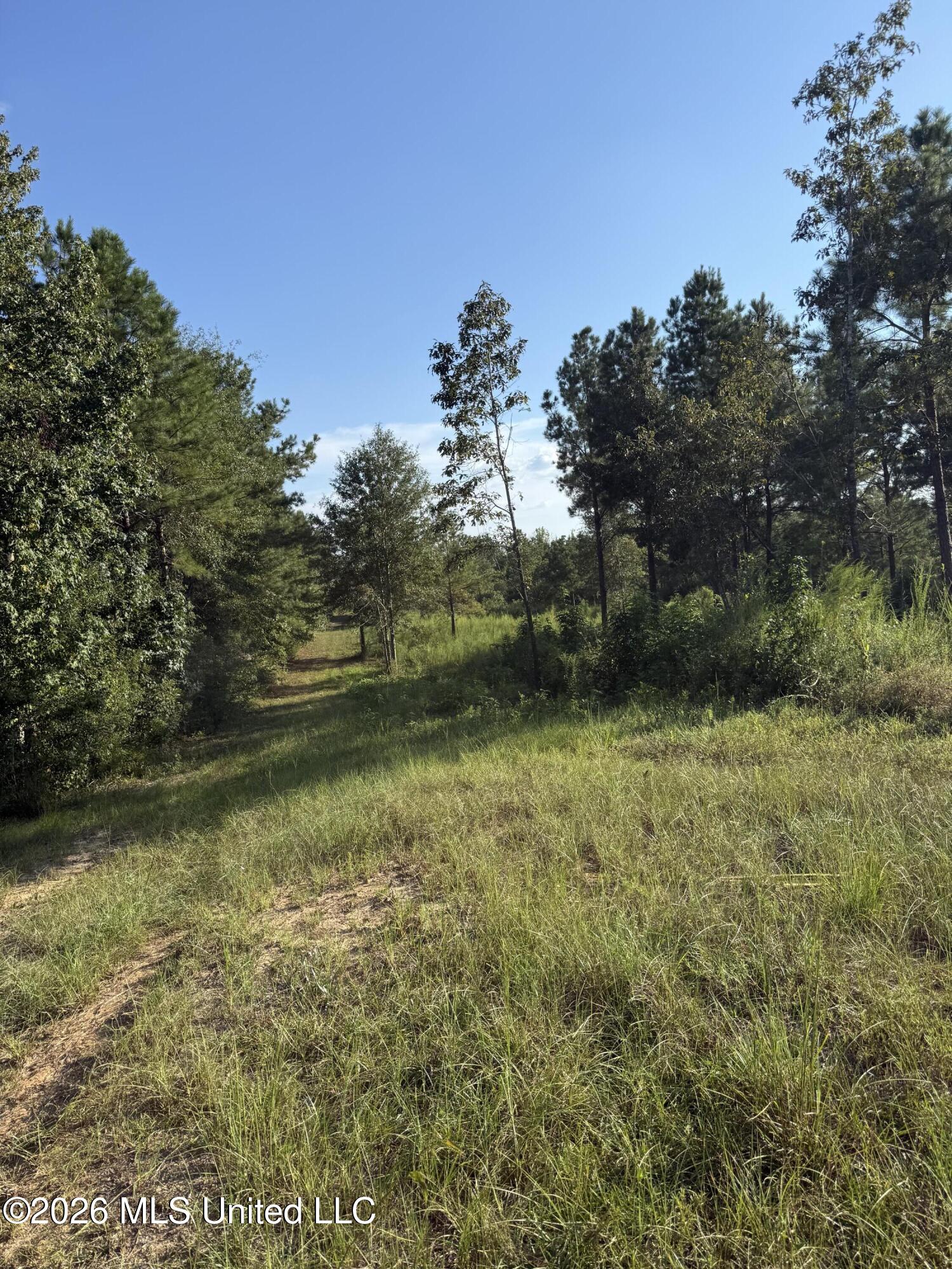 1099 Shell Oil Lane Property Photo 35