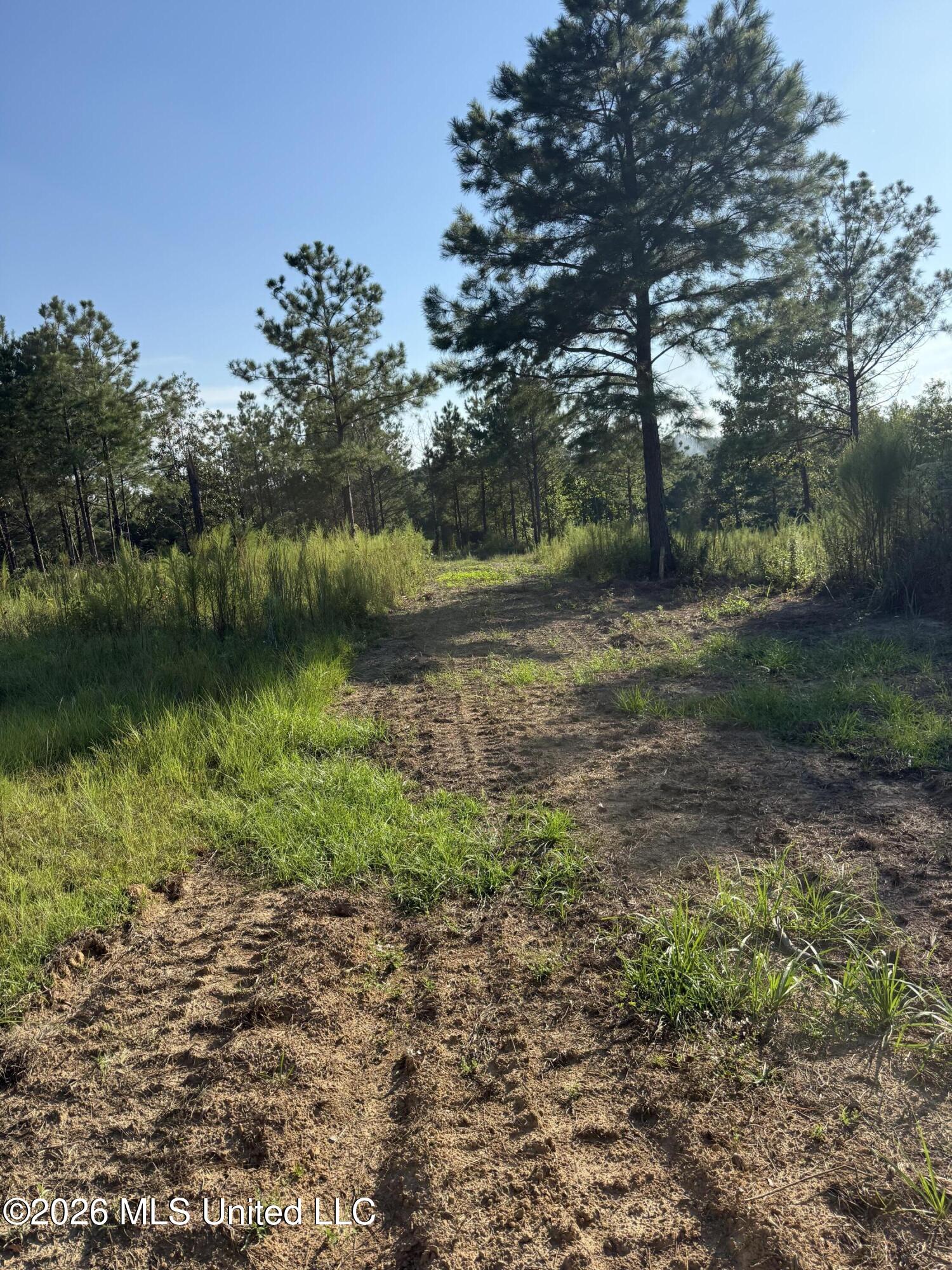 1099 Shell Oil Lane Property Photo 36