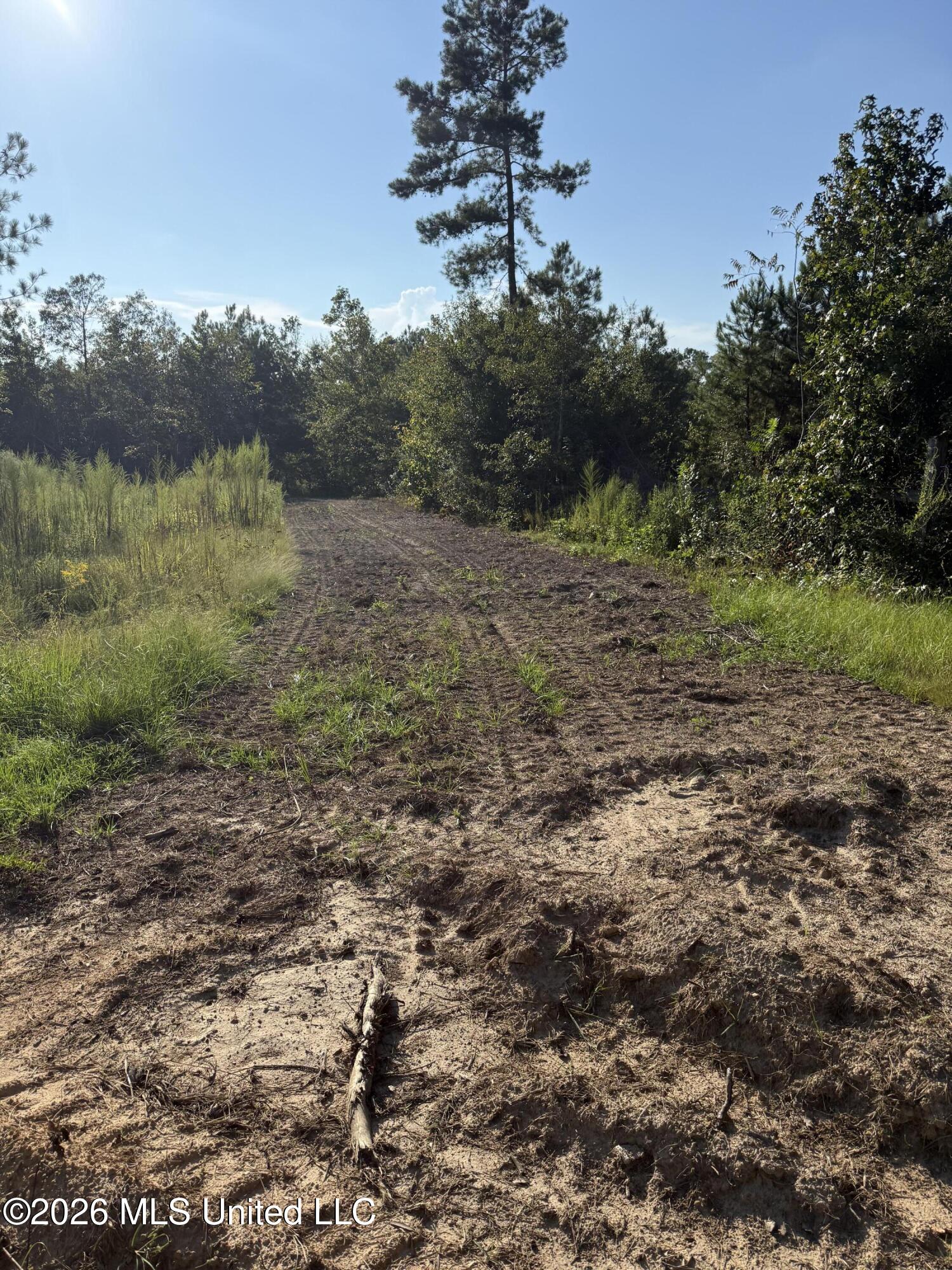 1099 Shell Oil Lane Property Photo 37
