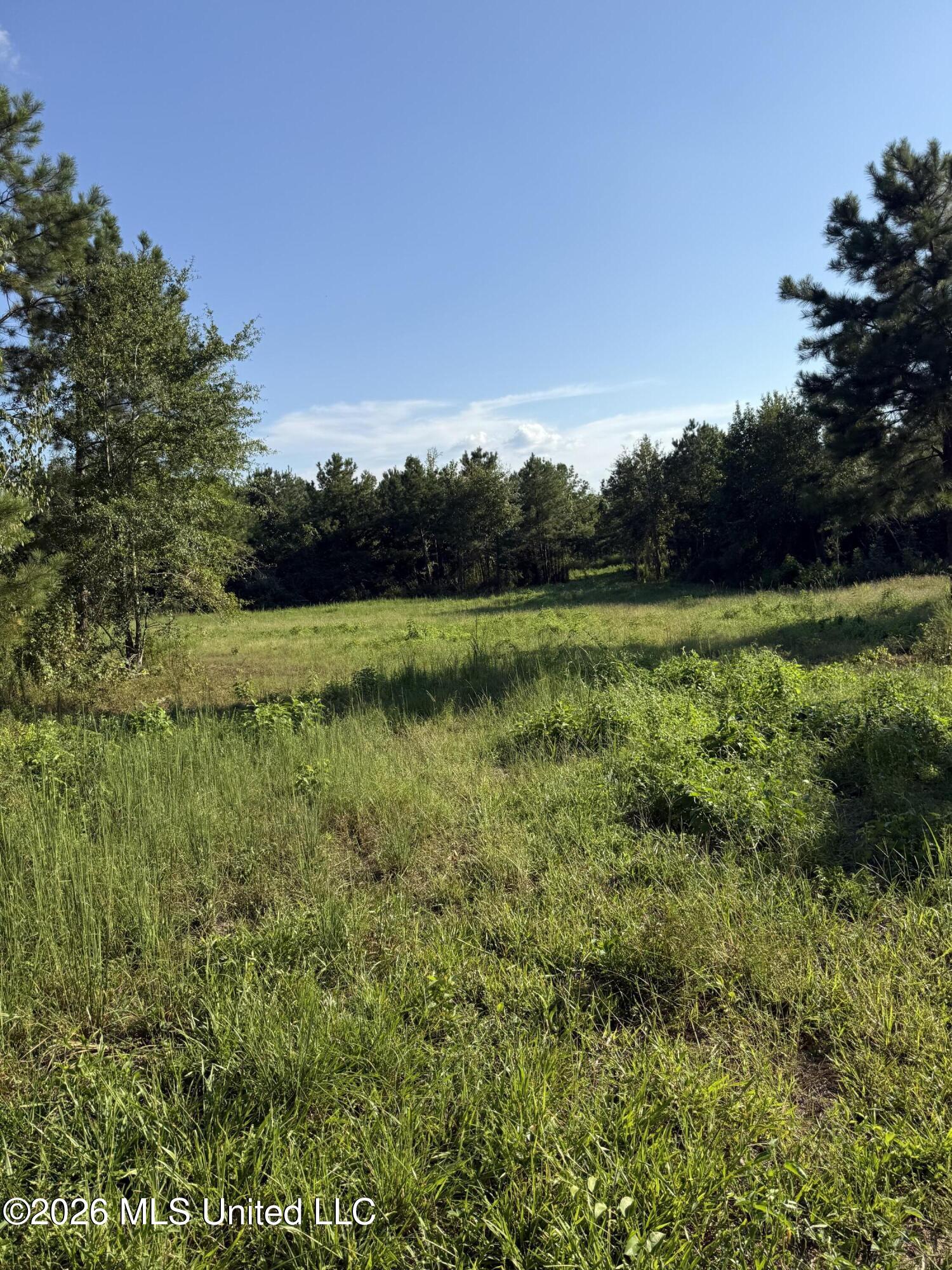 1099 Shell Oil Lane Property Photo 38