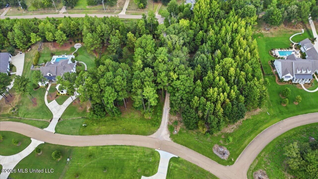112 Hidden Glades Property Photo 3