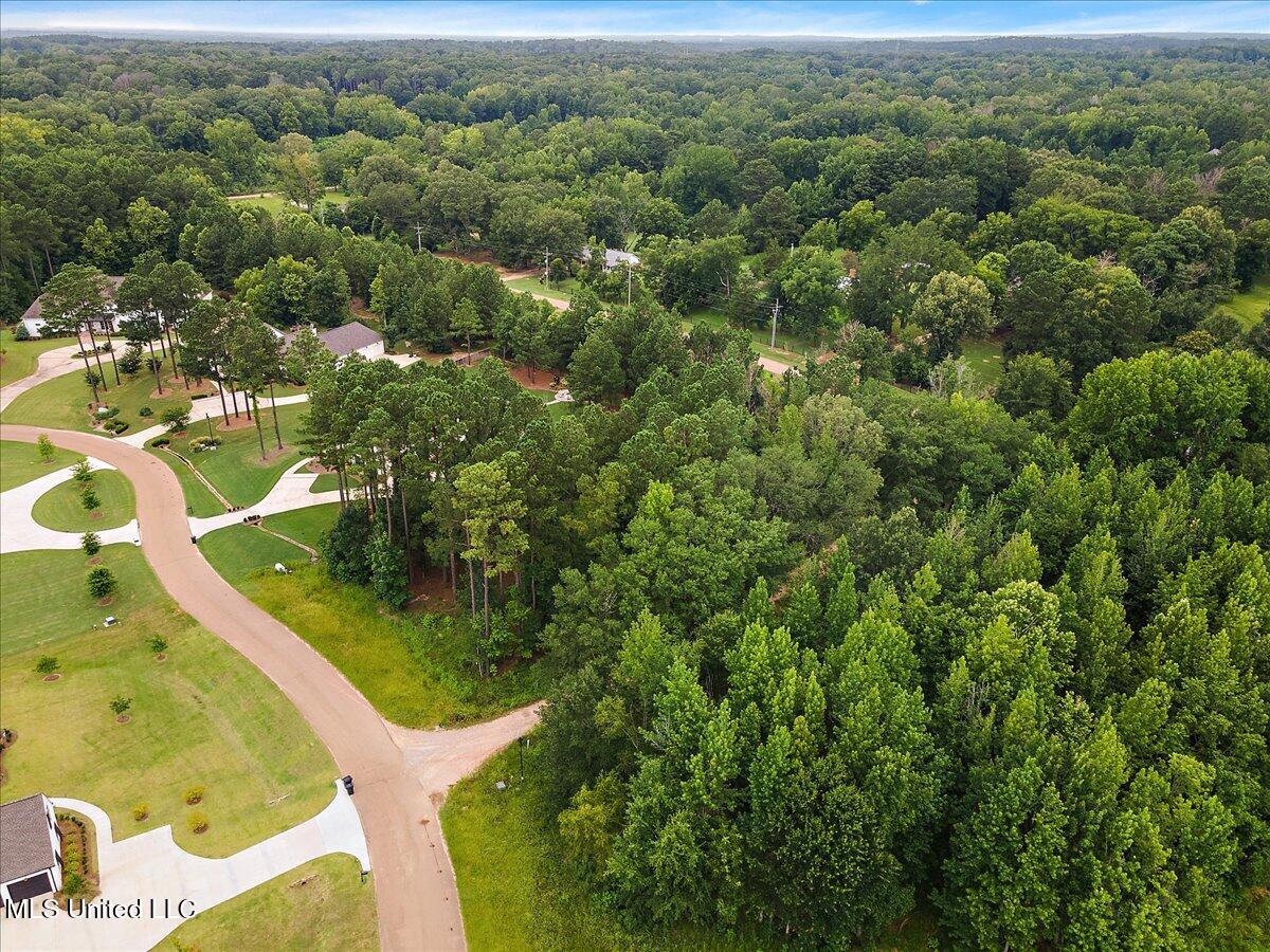 112 Hidden Glades Property Photo 4