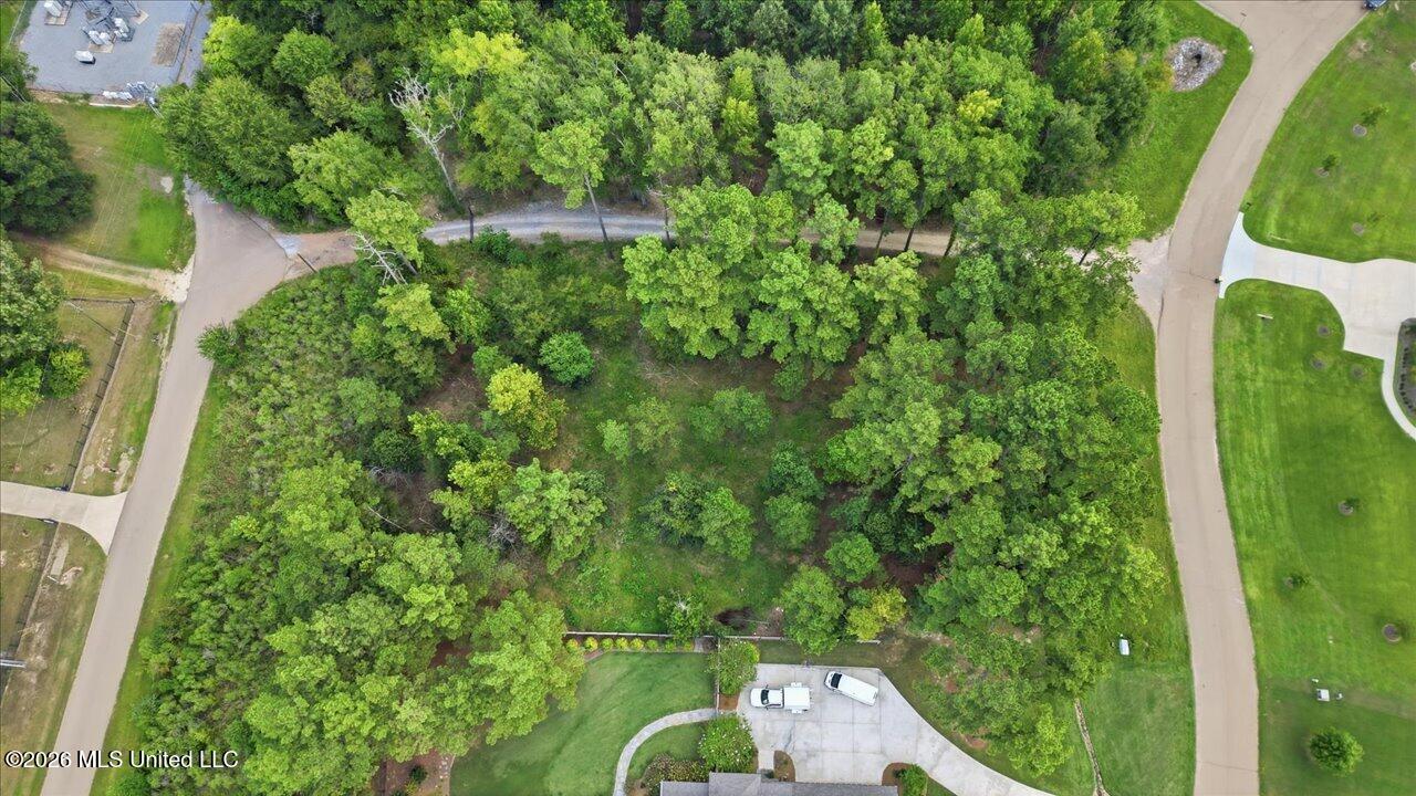 112 Hidden Glades Property Photo 11