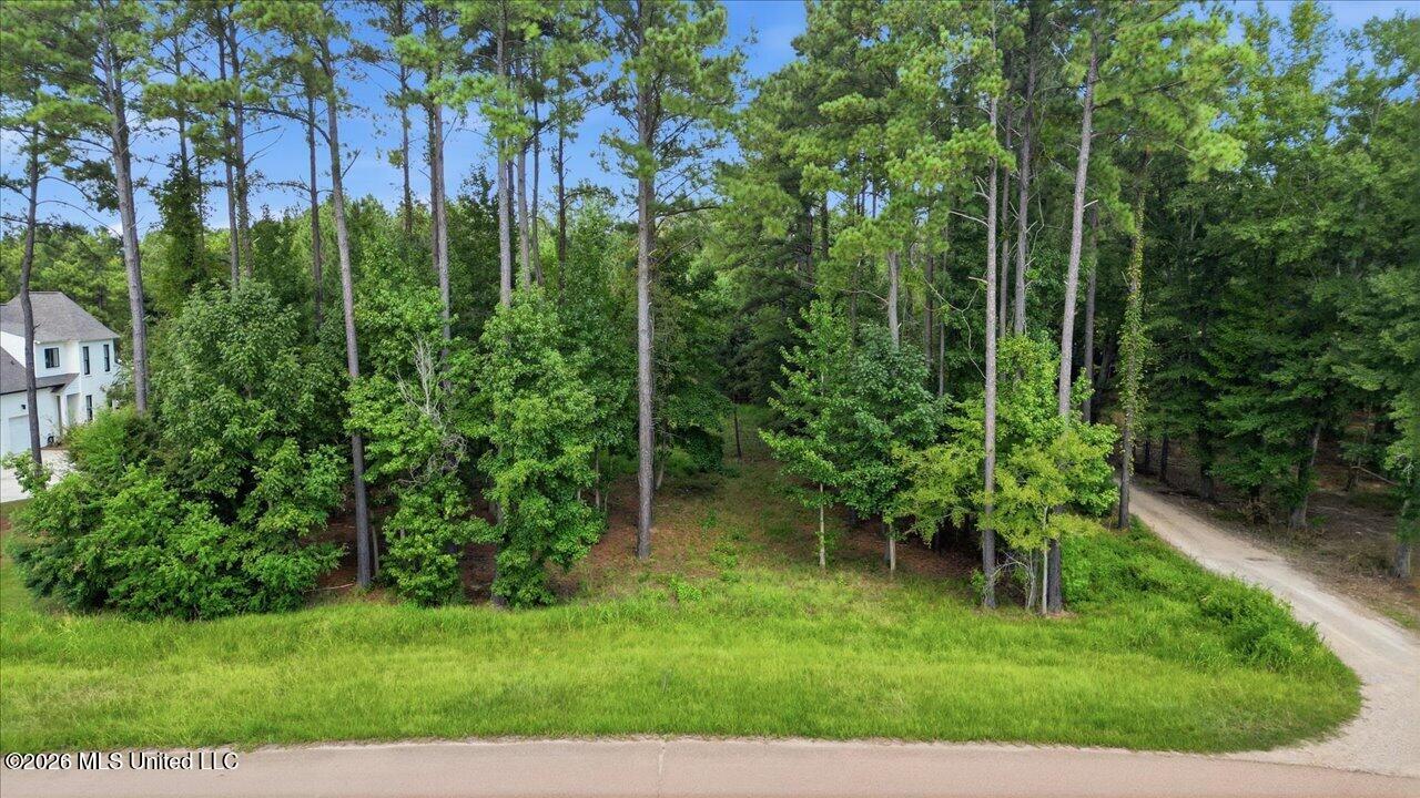 112 Hidden Glades Property Photo 12