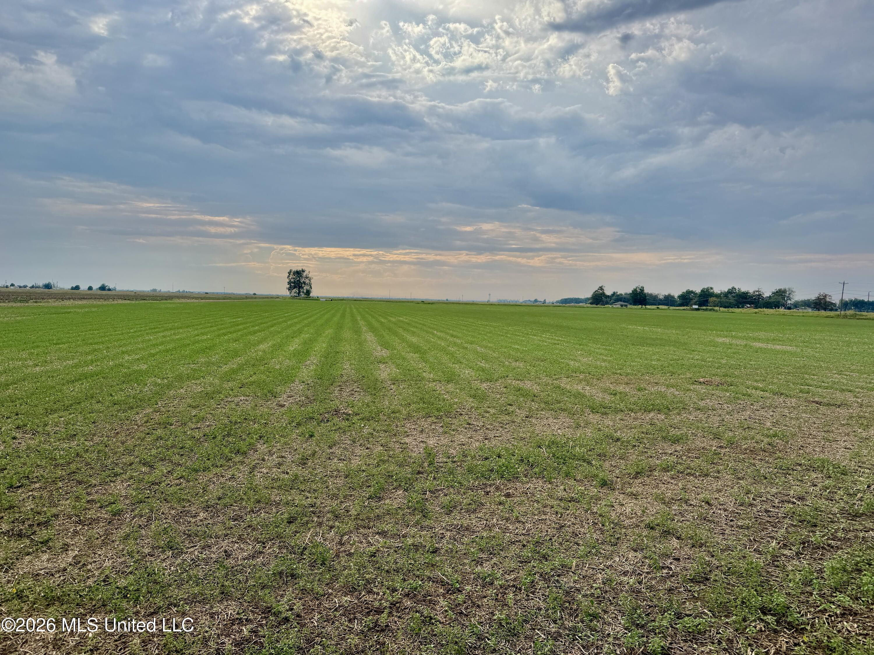 W Highway 8 1.7 Acres Lot B Property Photo 1