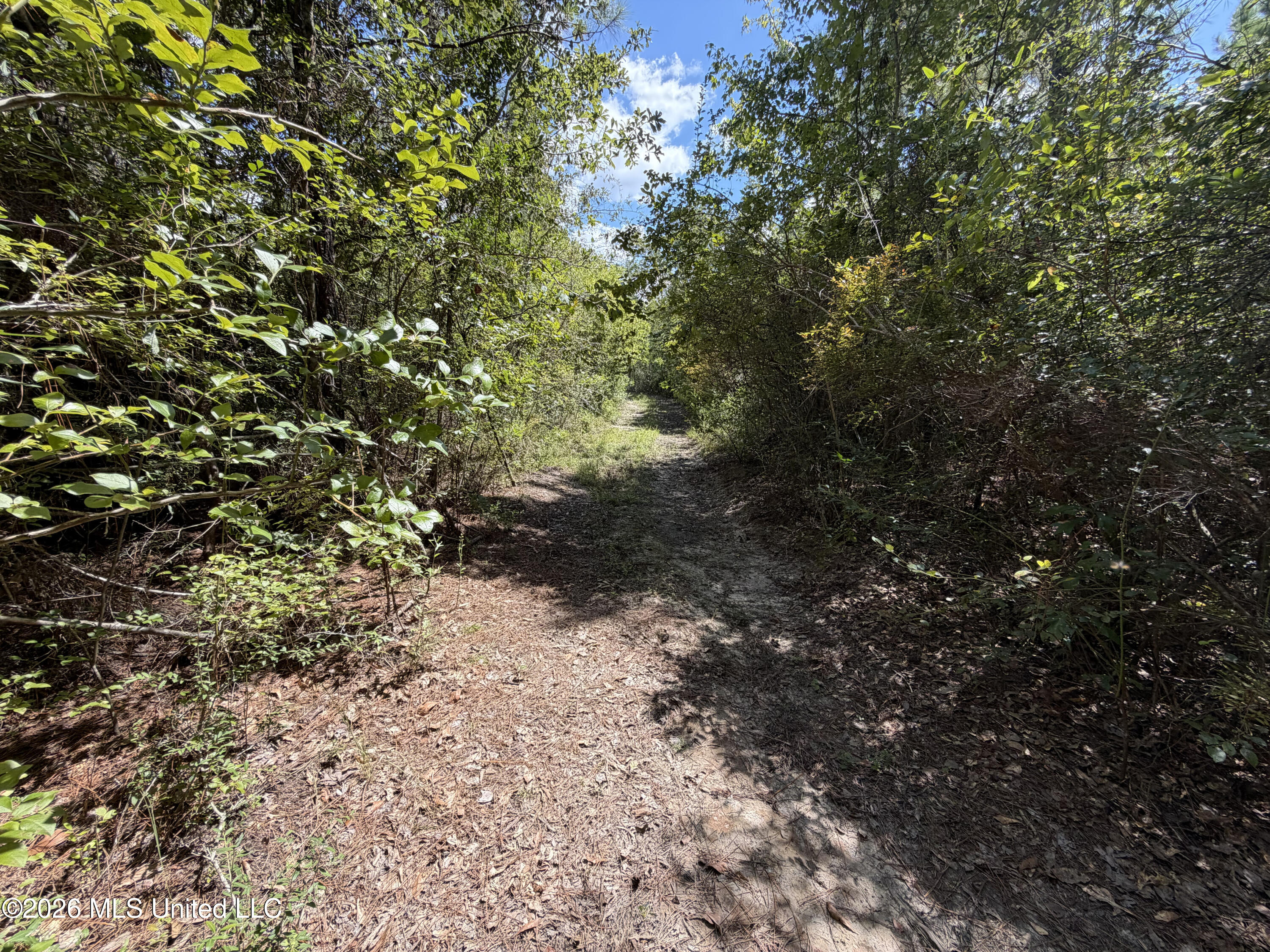 Hartery Property Photo 2