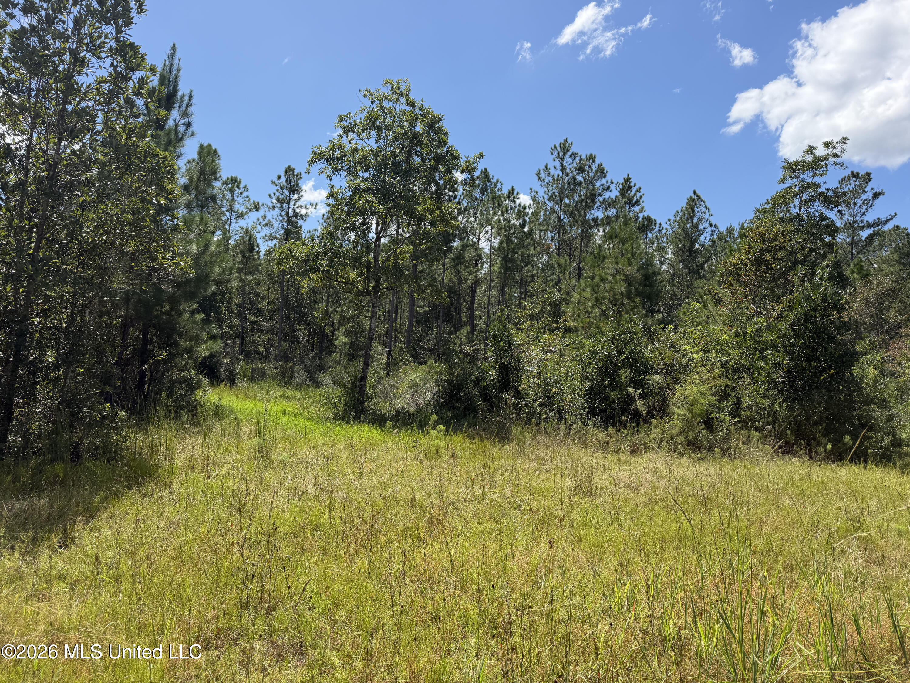 Hartery Property Photo 4