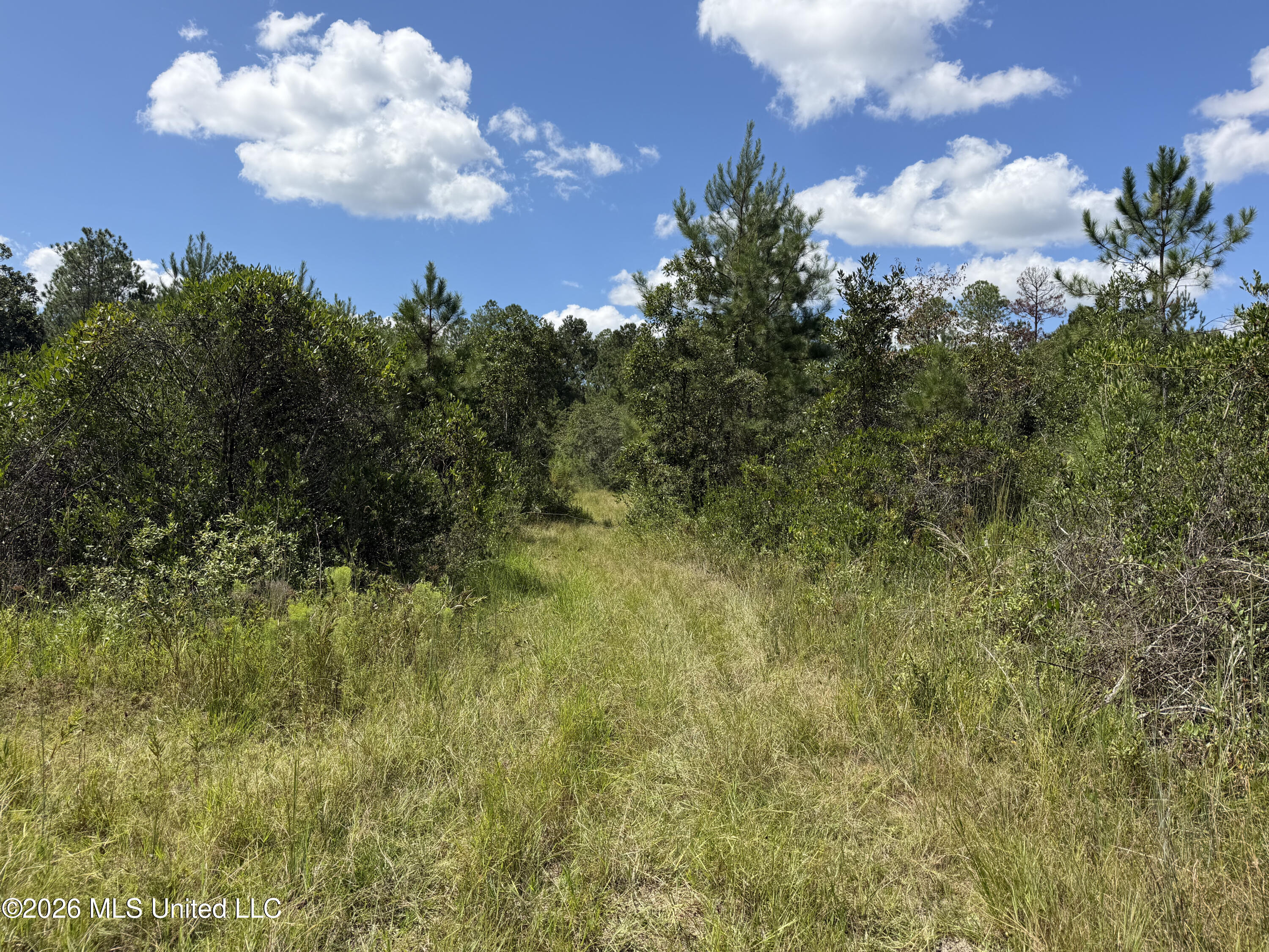 Hartery Property Photo 6