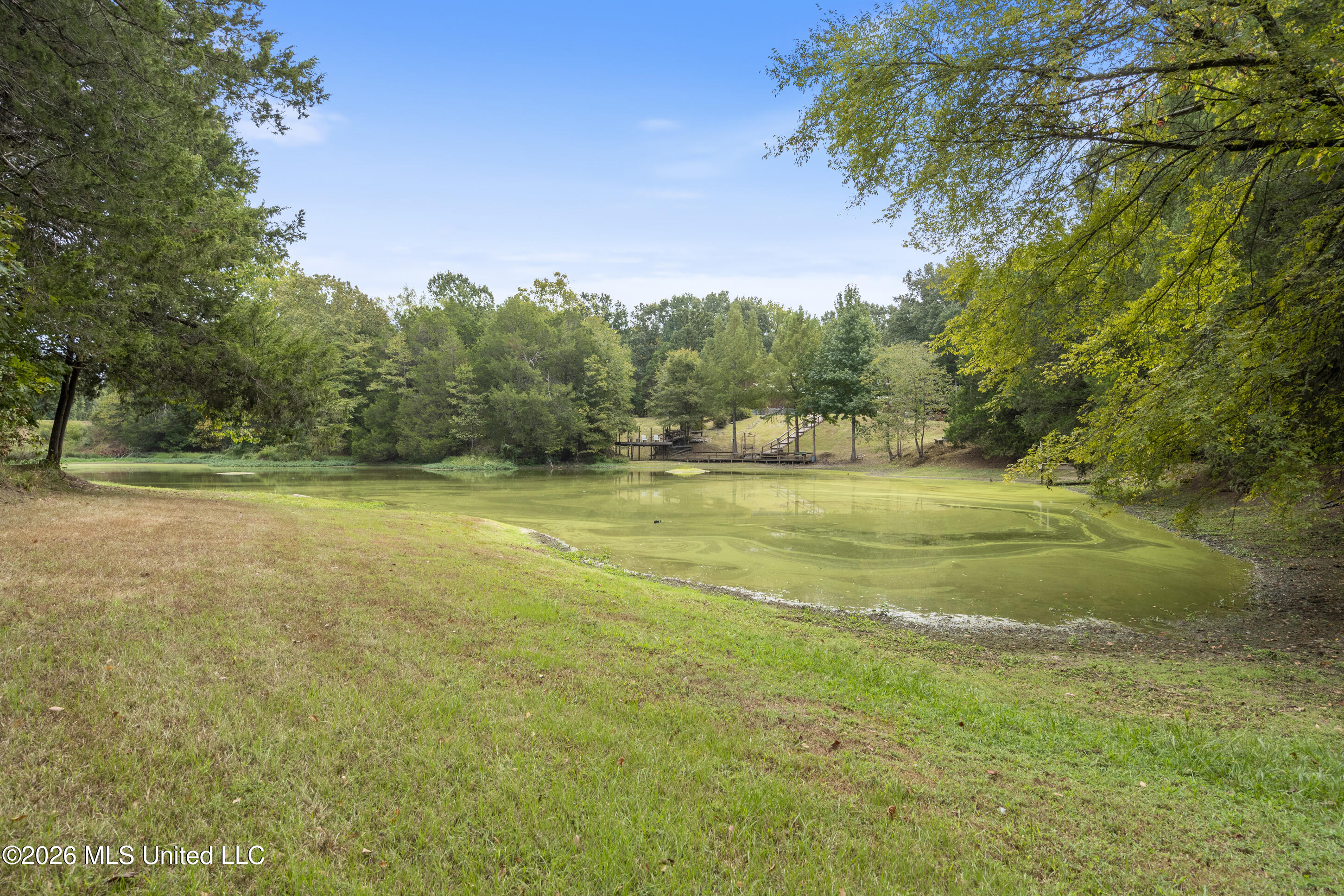 5008 Ms 310 Property Photo 65