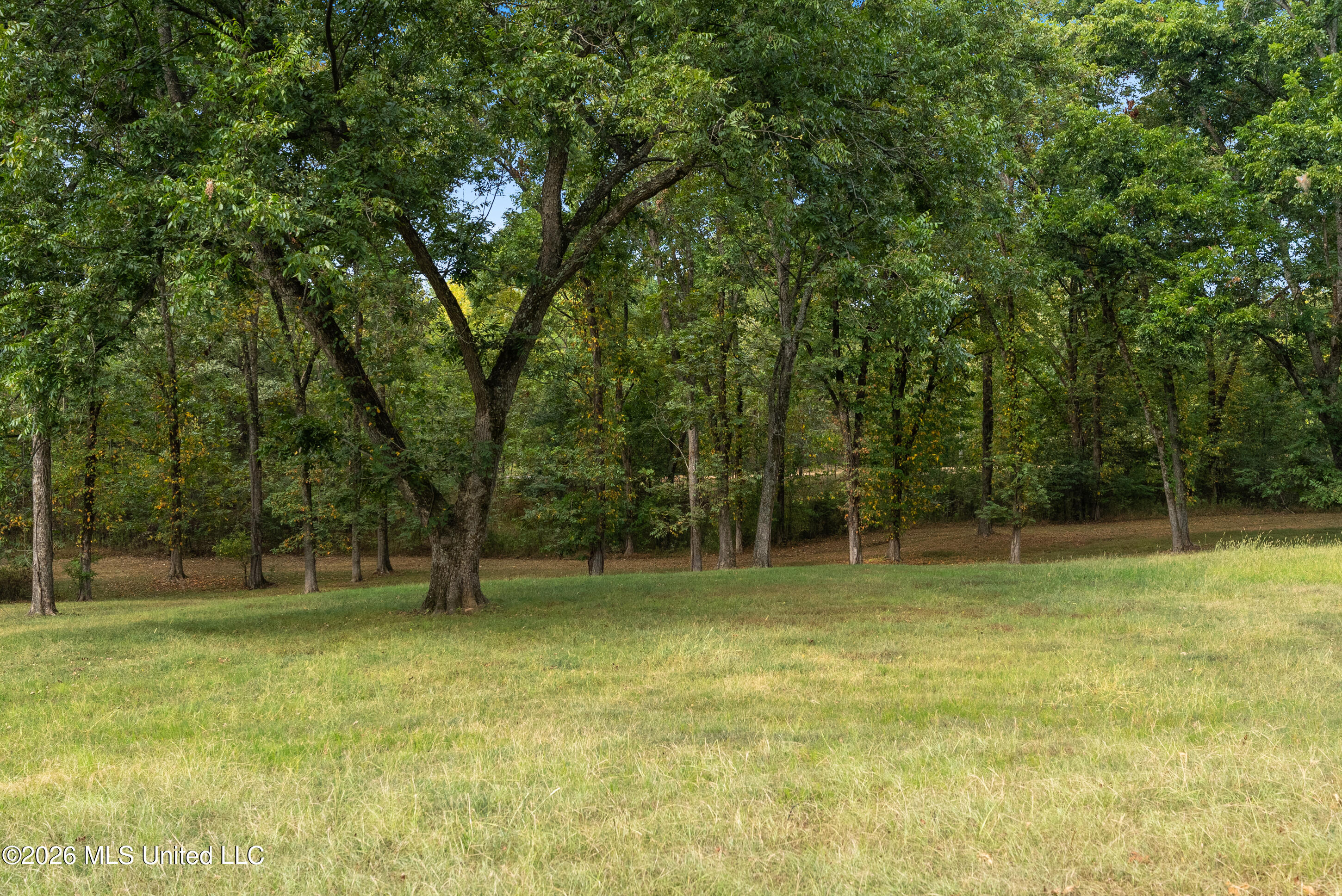 5008 Ms 310 Property Photo 69