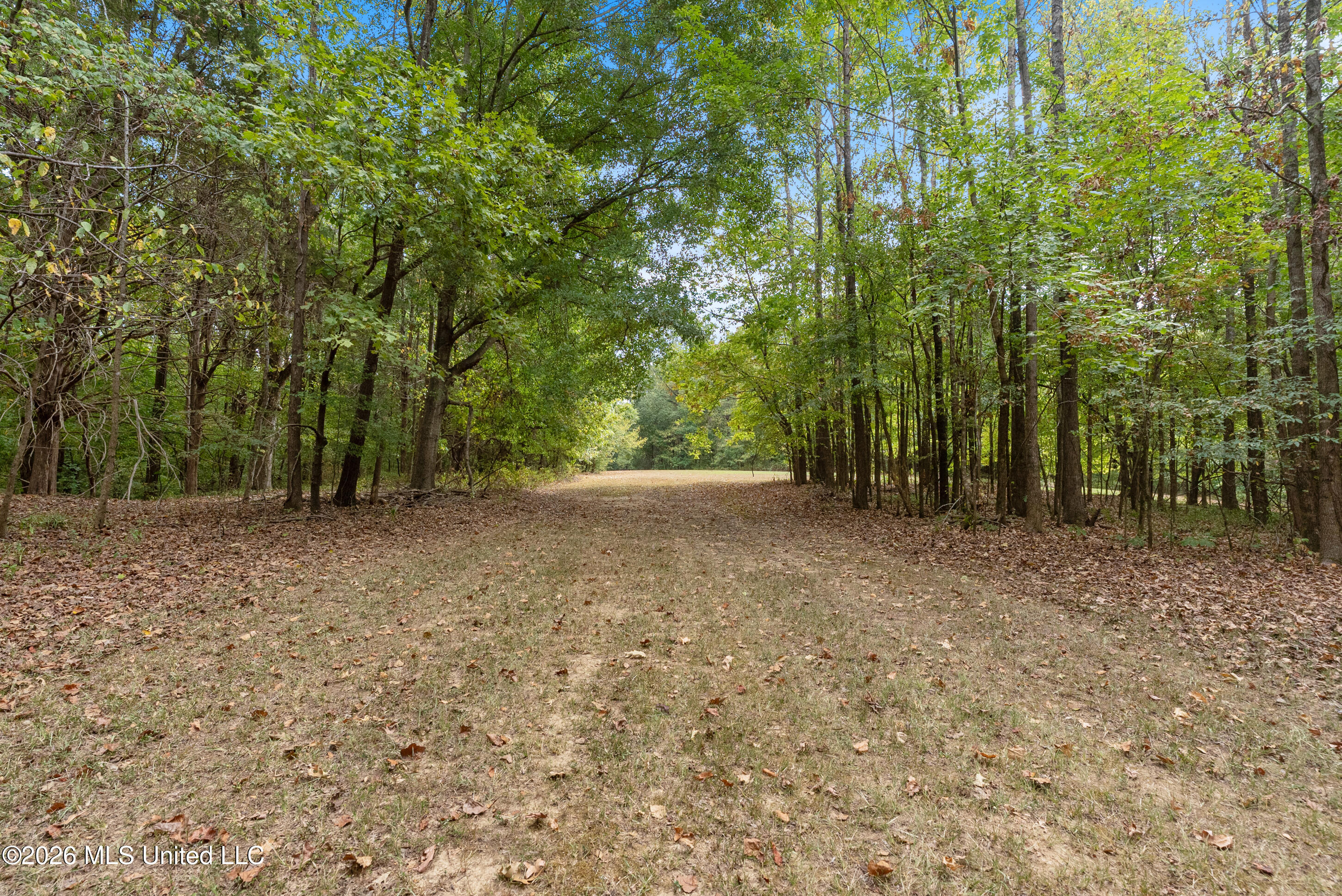 5008 Ms 310 Property Photo 81