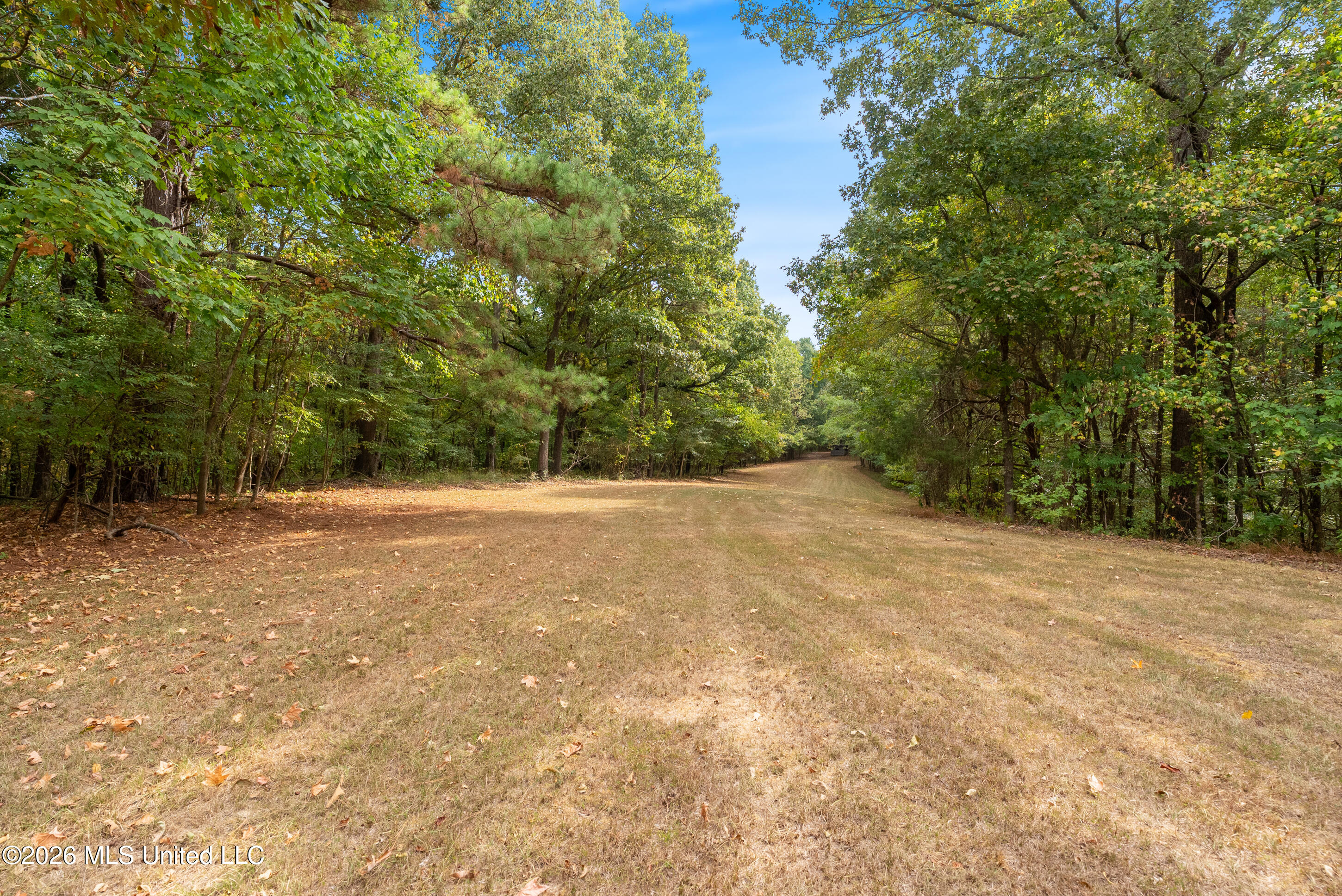 5008 Ms 310 Property Photo 83