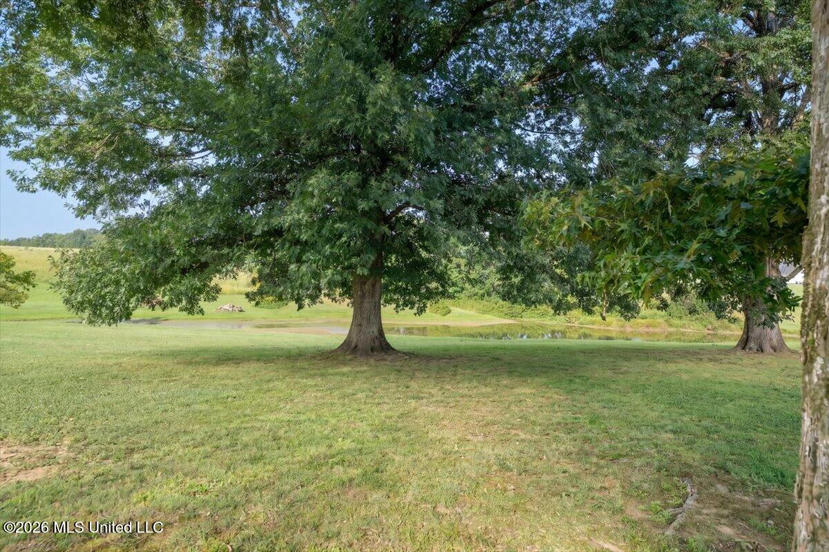 173 Winter Oaks Property Photo 40