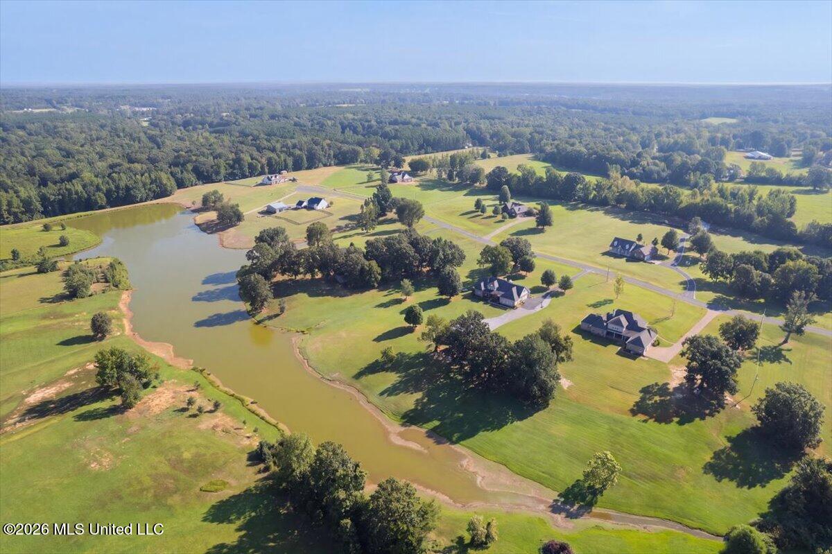 173 Winter Oaks Property Photo 41