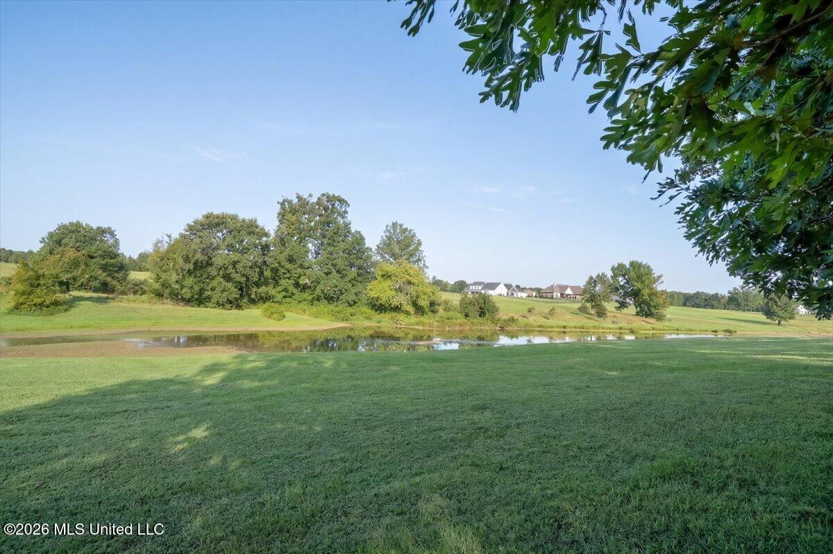 173 Winter Oaks Property Photo 42