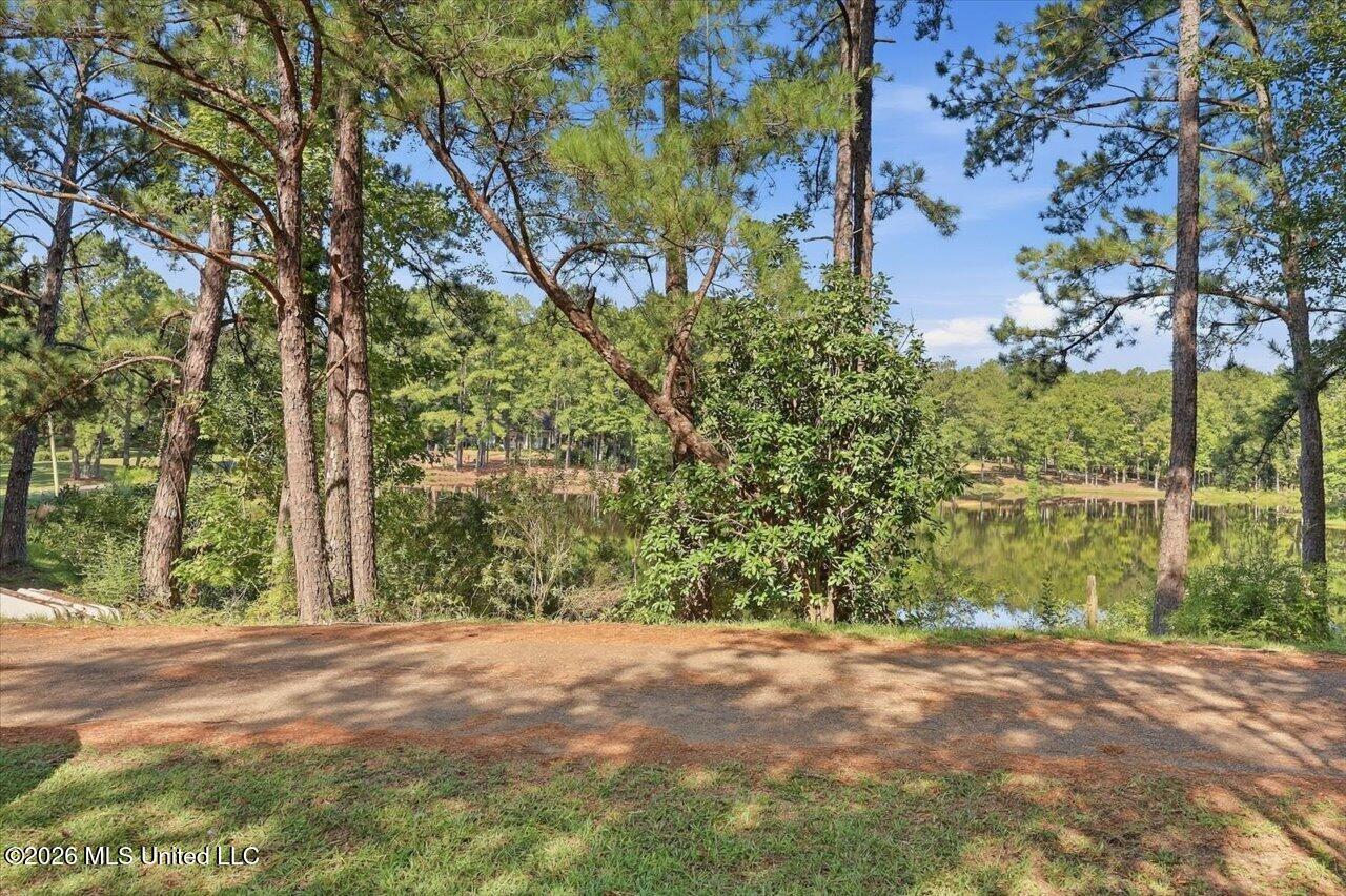 103 Johnny Rawls Road Property Photo 4