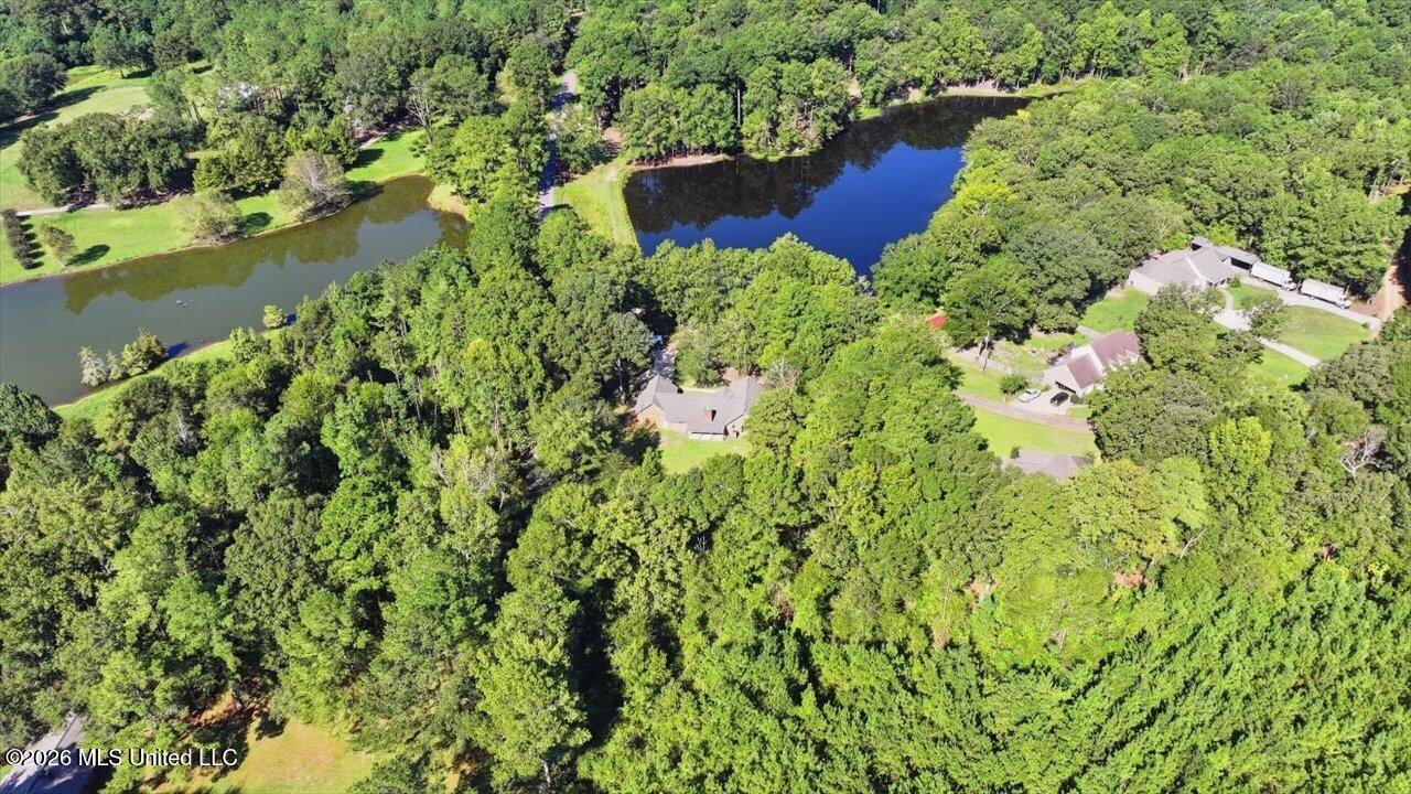 103 Johnny Rawls Road Property Photo 52