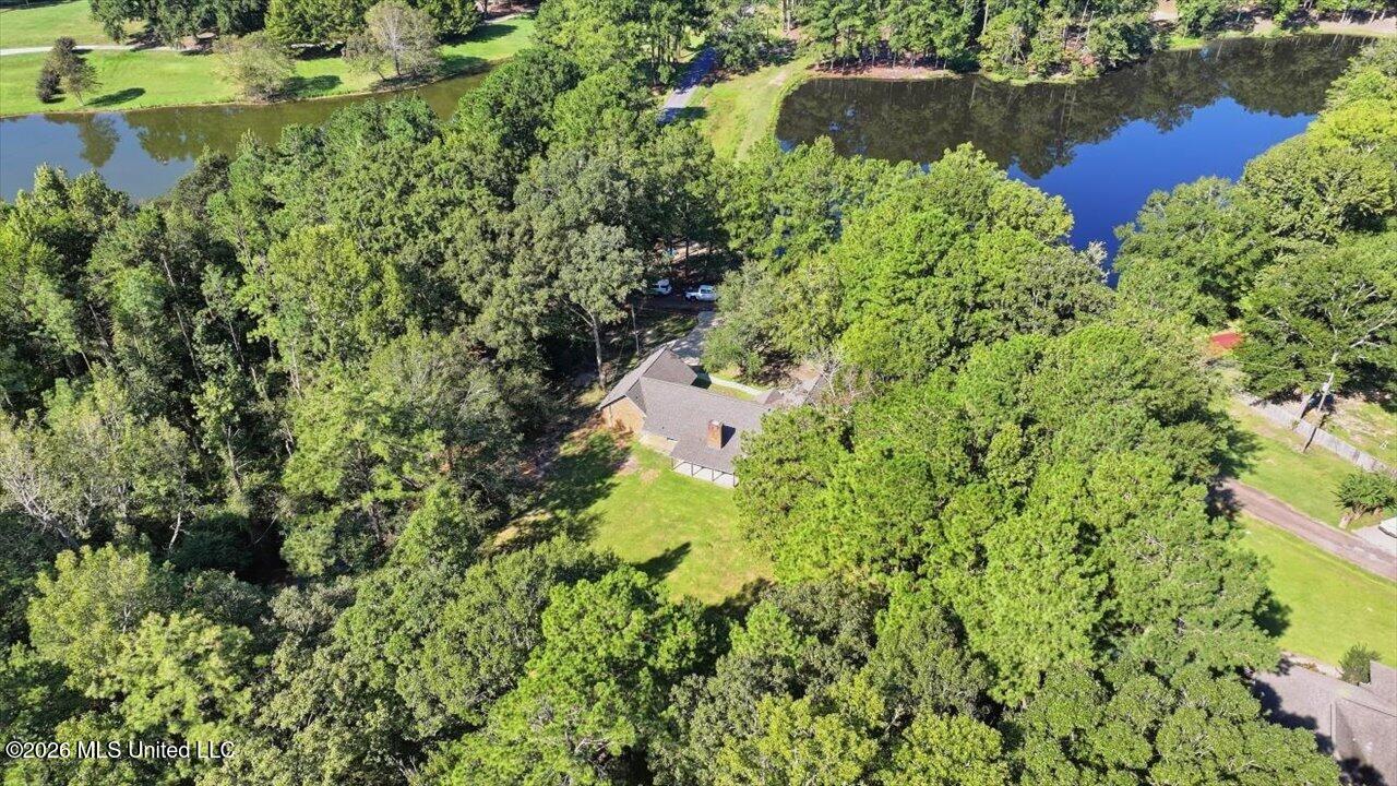 103 Johnny Rawls Road Property Photo 55