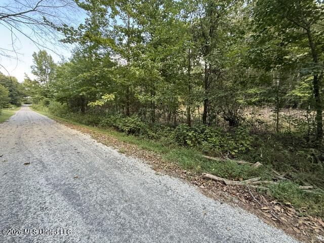 Ted Cove Property Photo 1