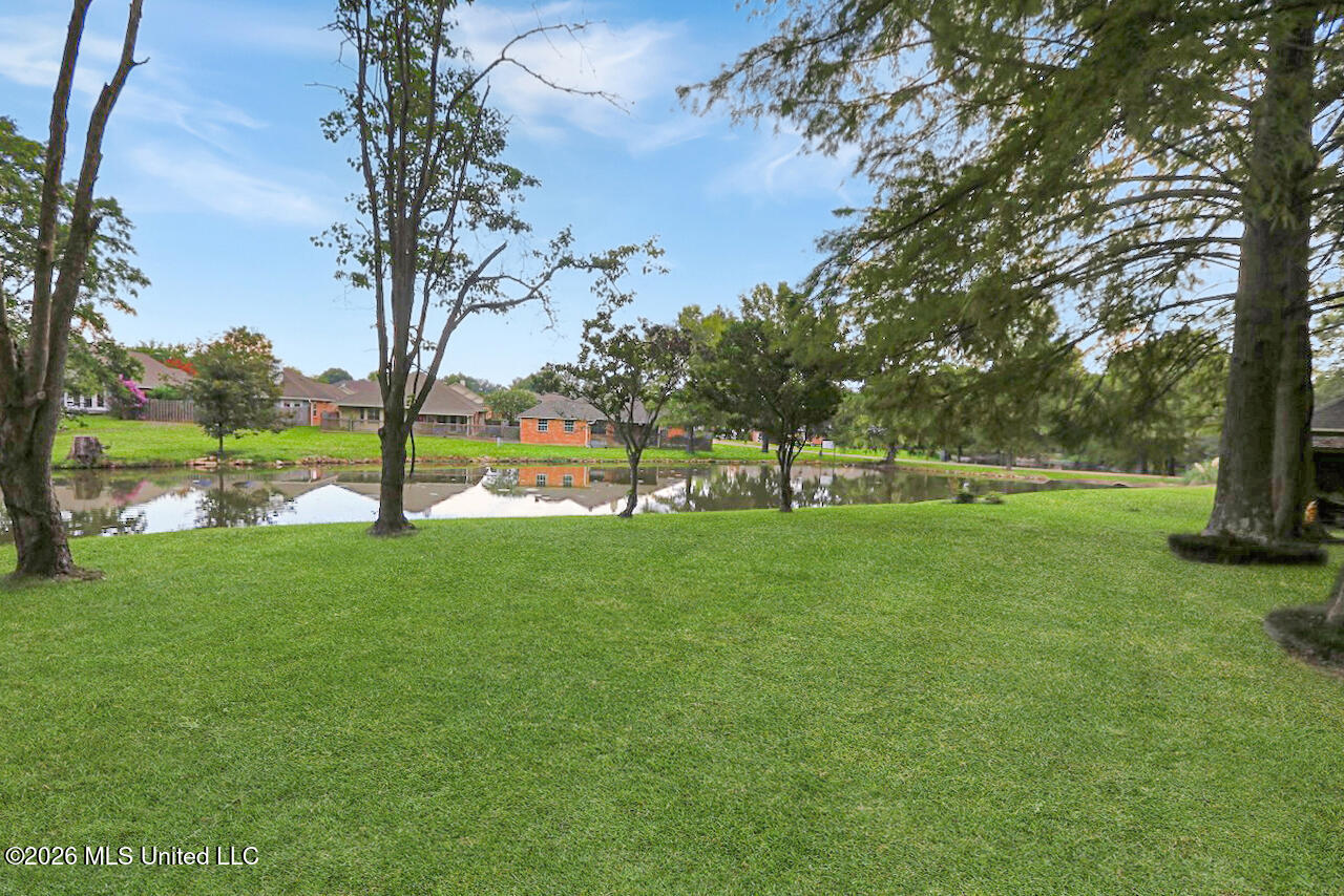 14 Parkview Road Property Photo 31