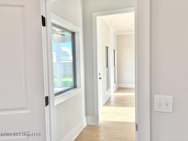 424 Aurora Circle Property Photo 18