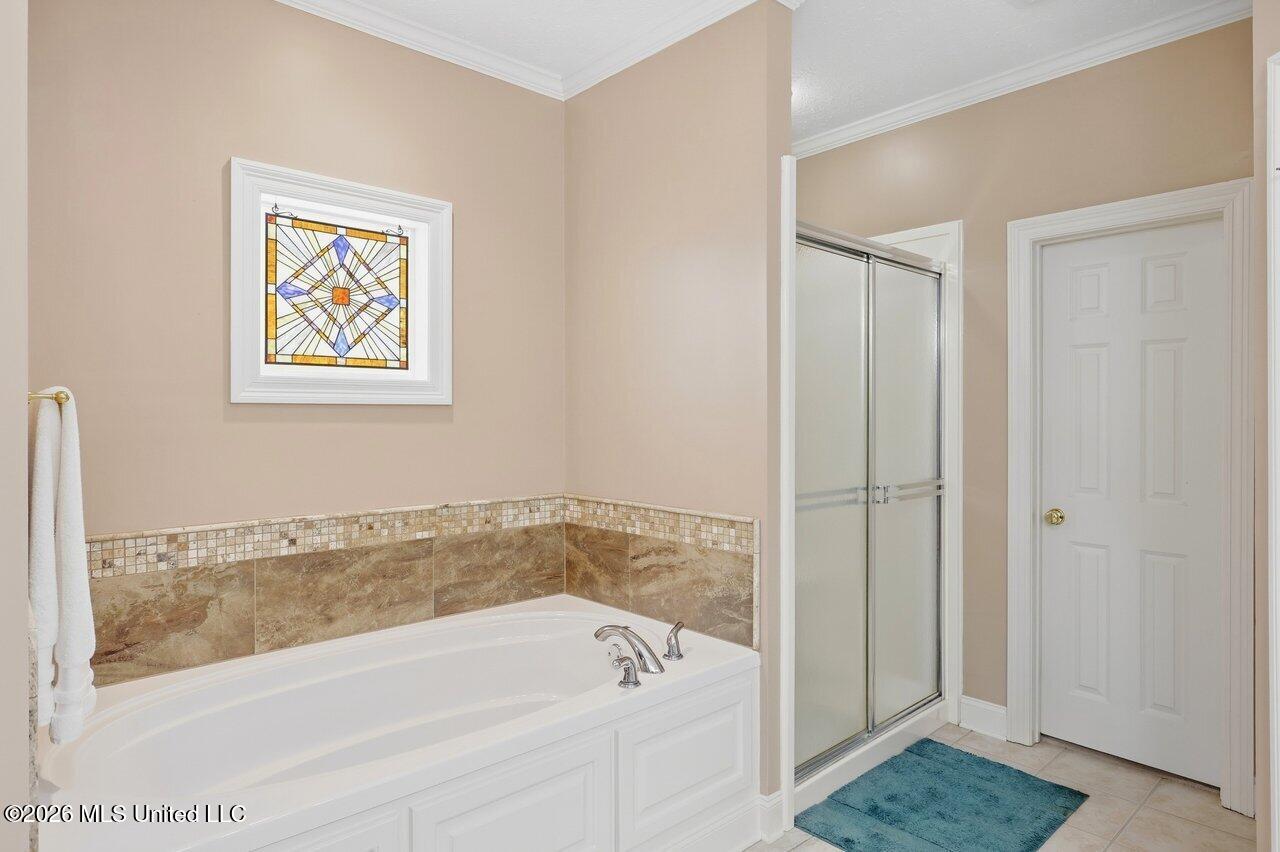 253 Belle Rose Circle Property Photo 22