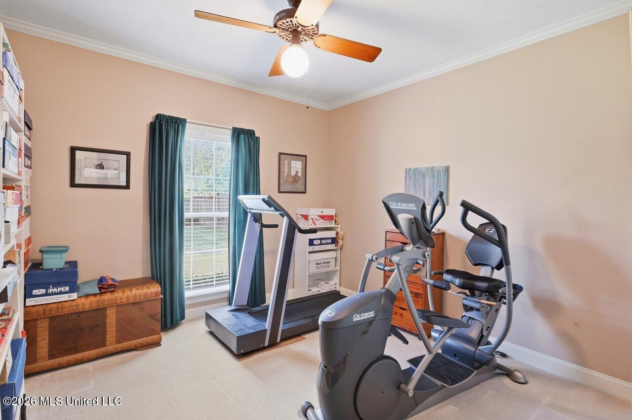 253 Belle Rose Circle Property Photo 28