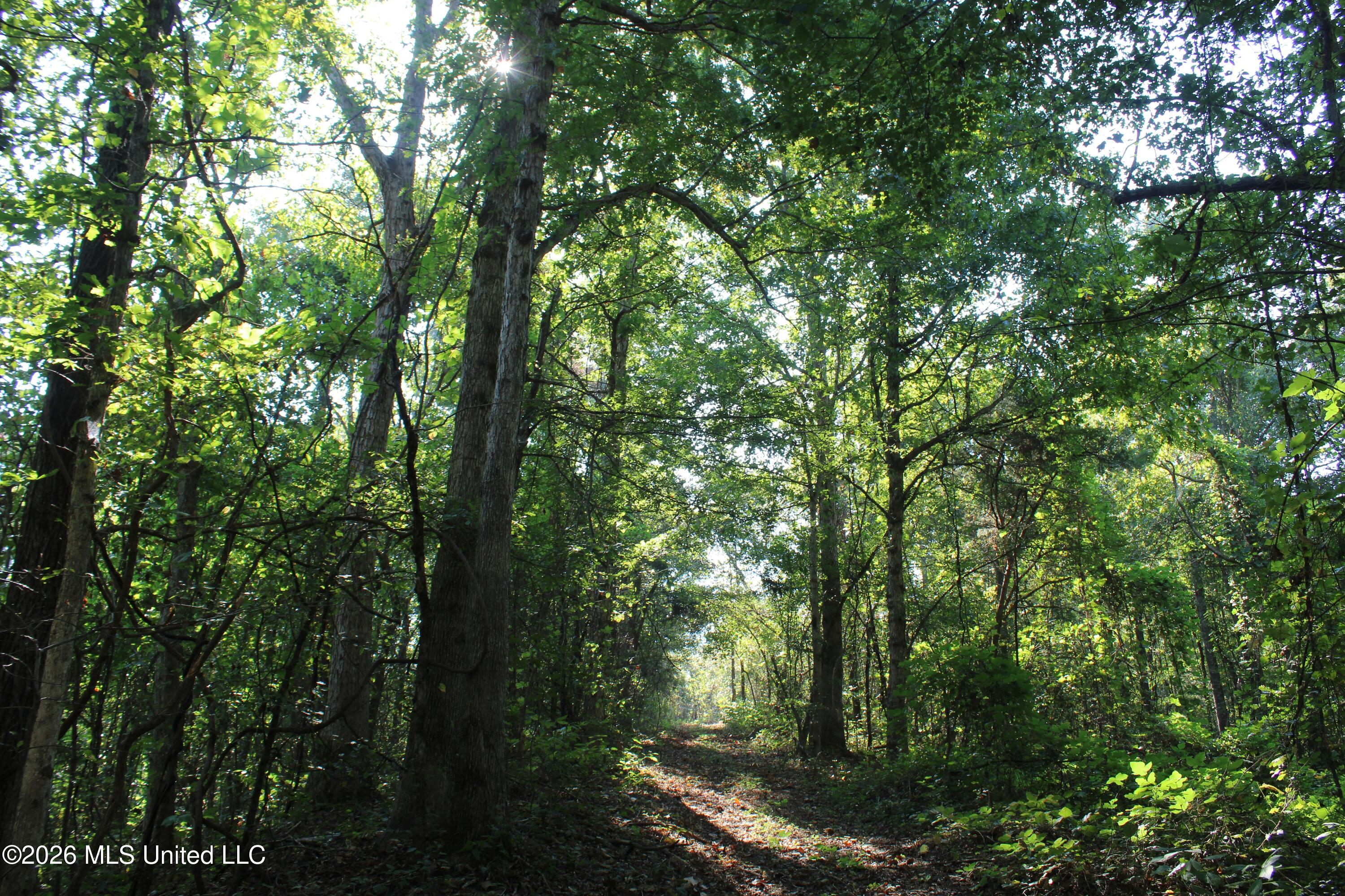 6900 Hwy 370 Property Photo 6