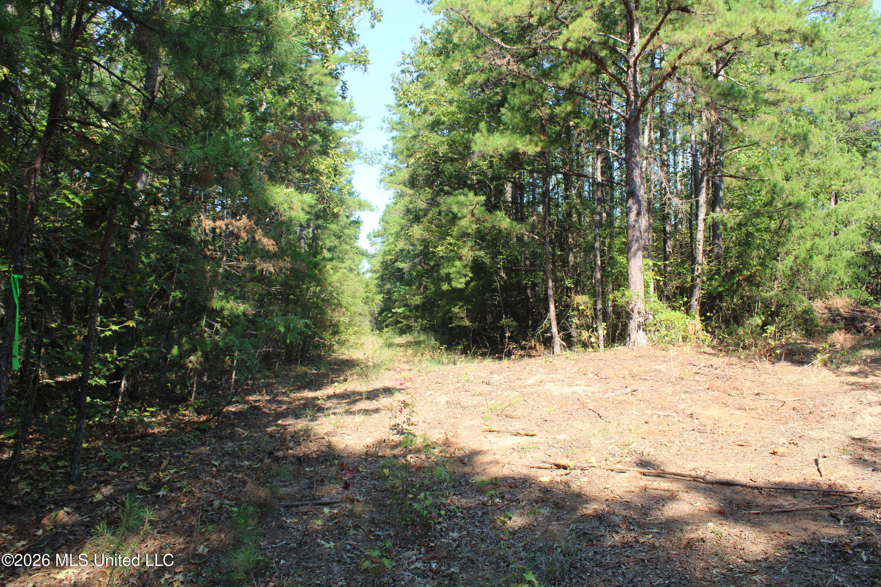 6900 Hwy 370 Property Photo 9