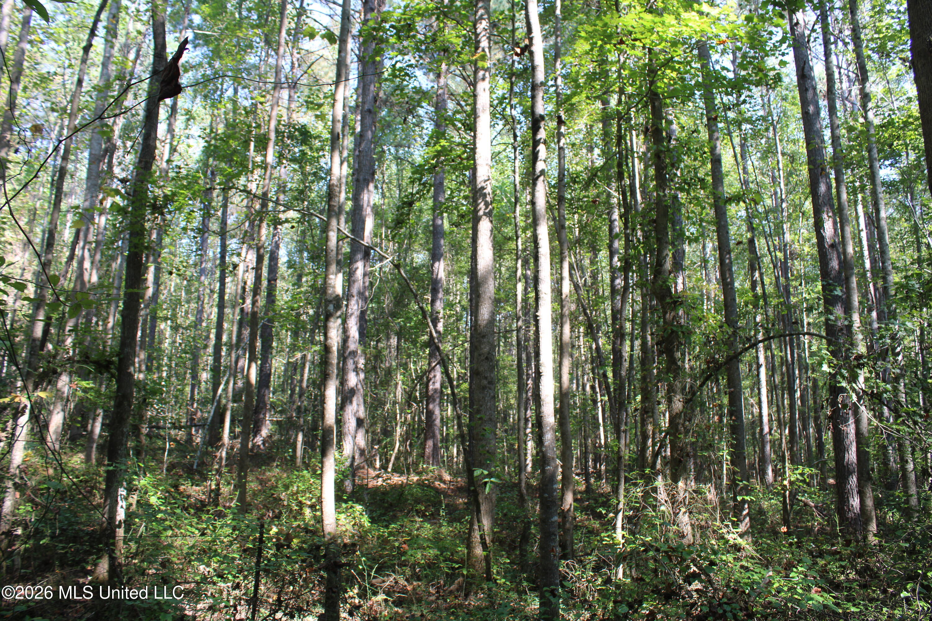 6900 Hwy 370 Property Photo 15