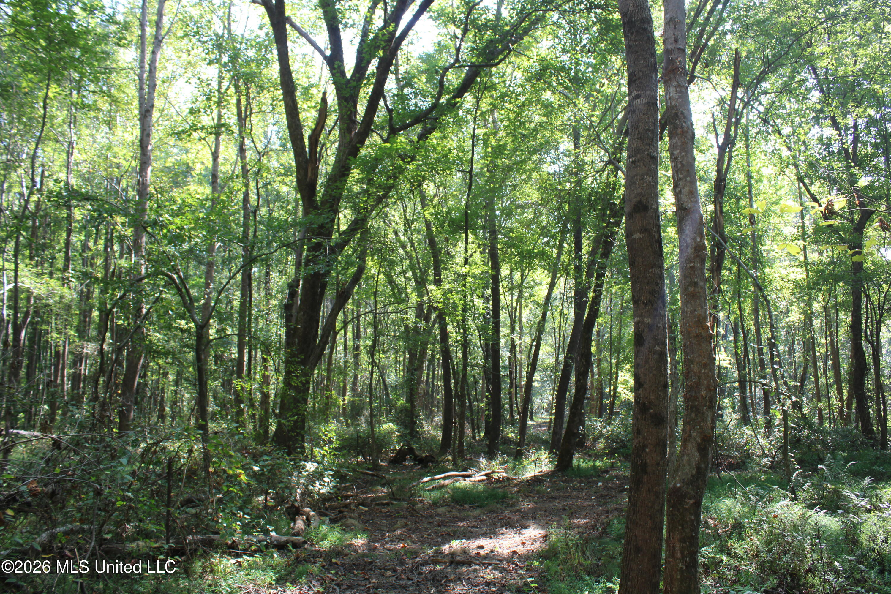 6900 Hwy 370 Property Photo 16