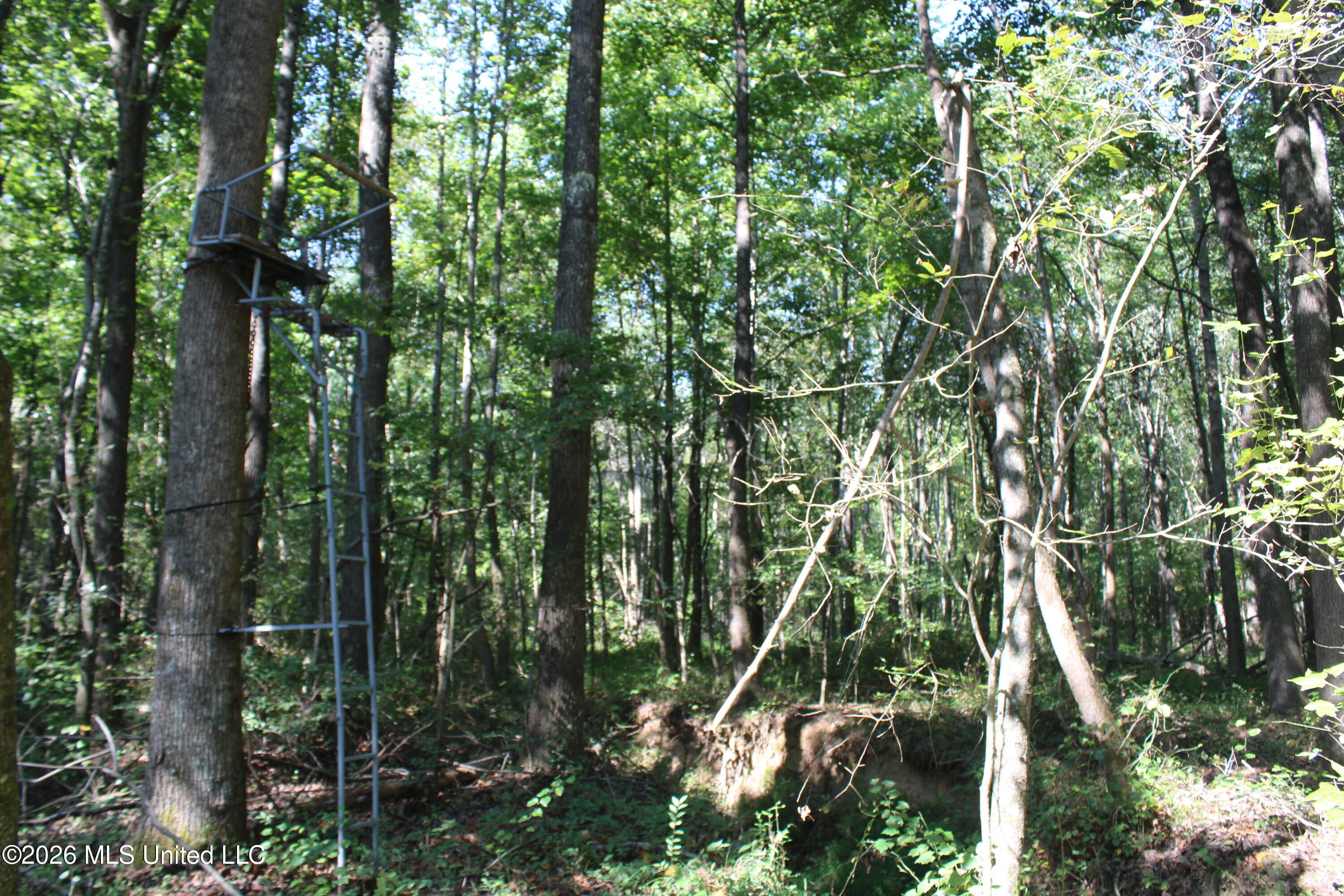 6900 Hwy 370 Property Photo 22