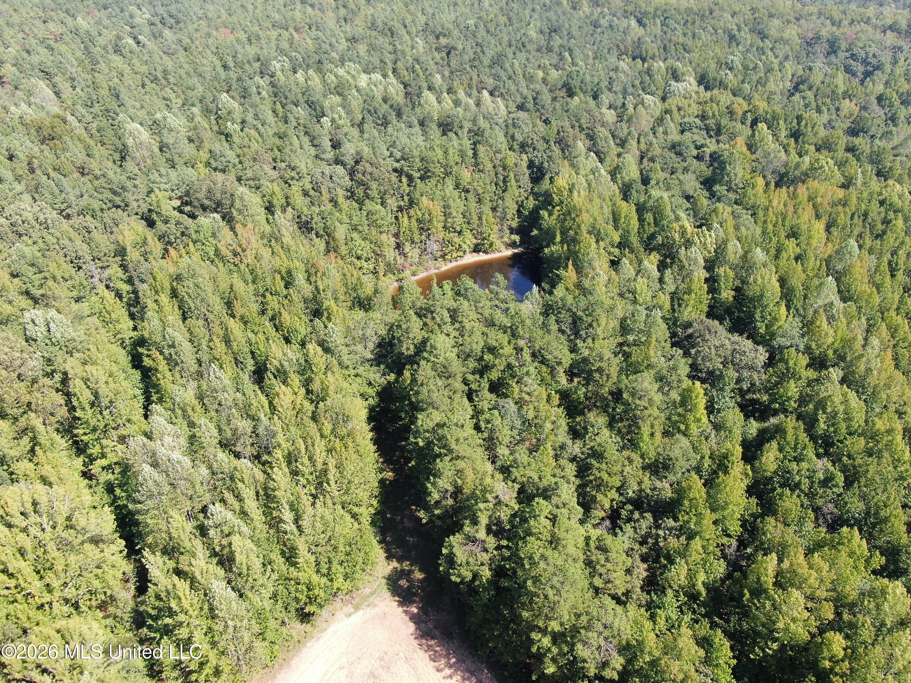 6900 Hwy 370 Property Photo 33