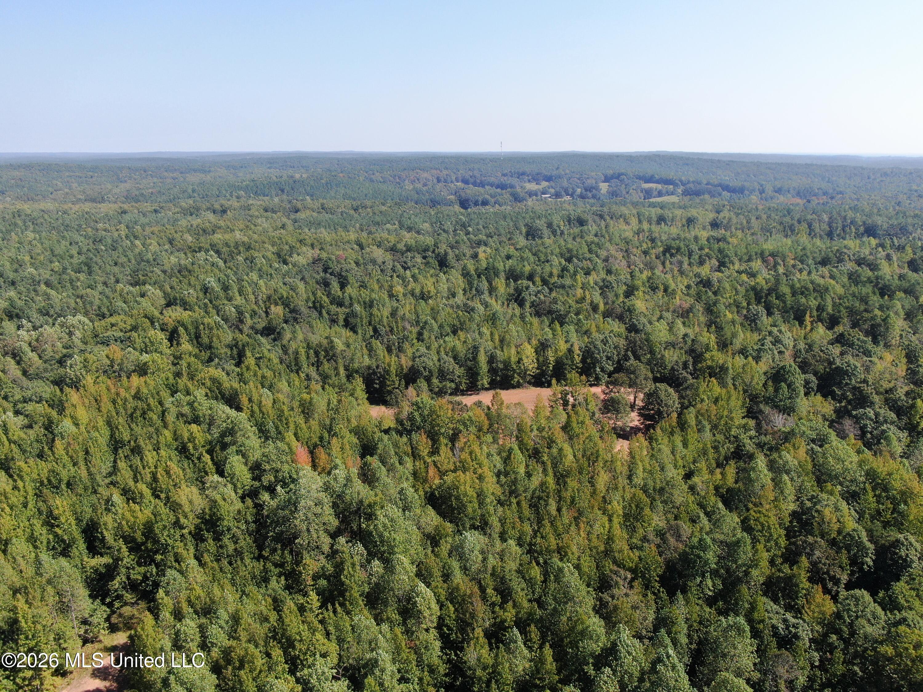 6900 Hwy 370 Property Photo 37
