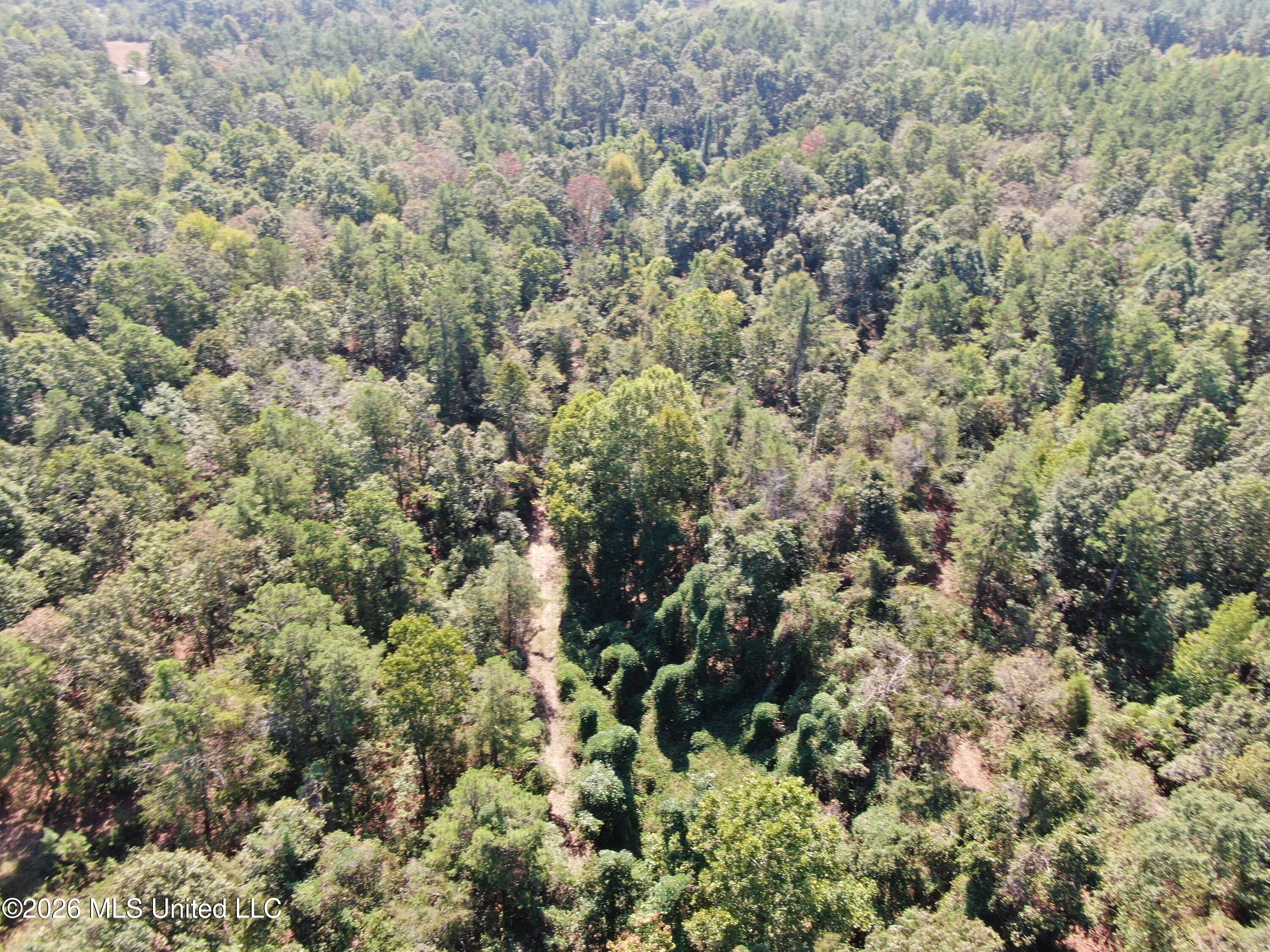 6900 Hwy 370 Property Photo 38