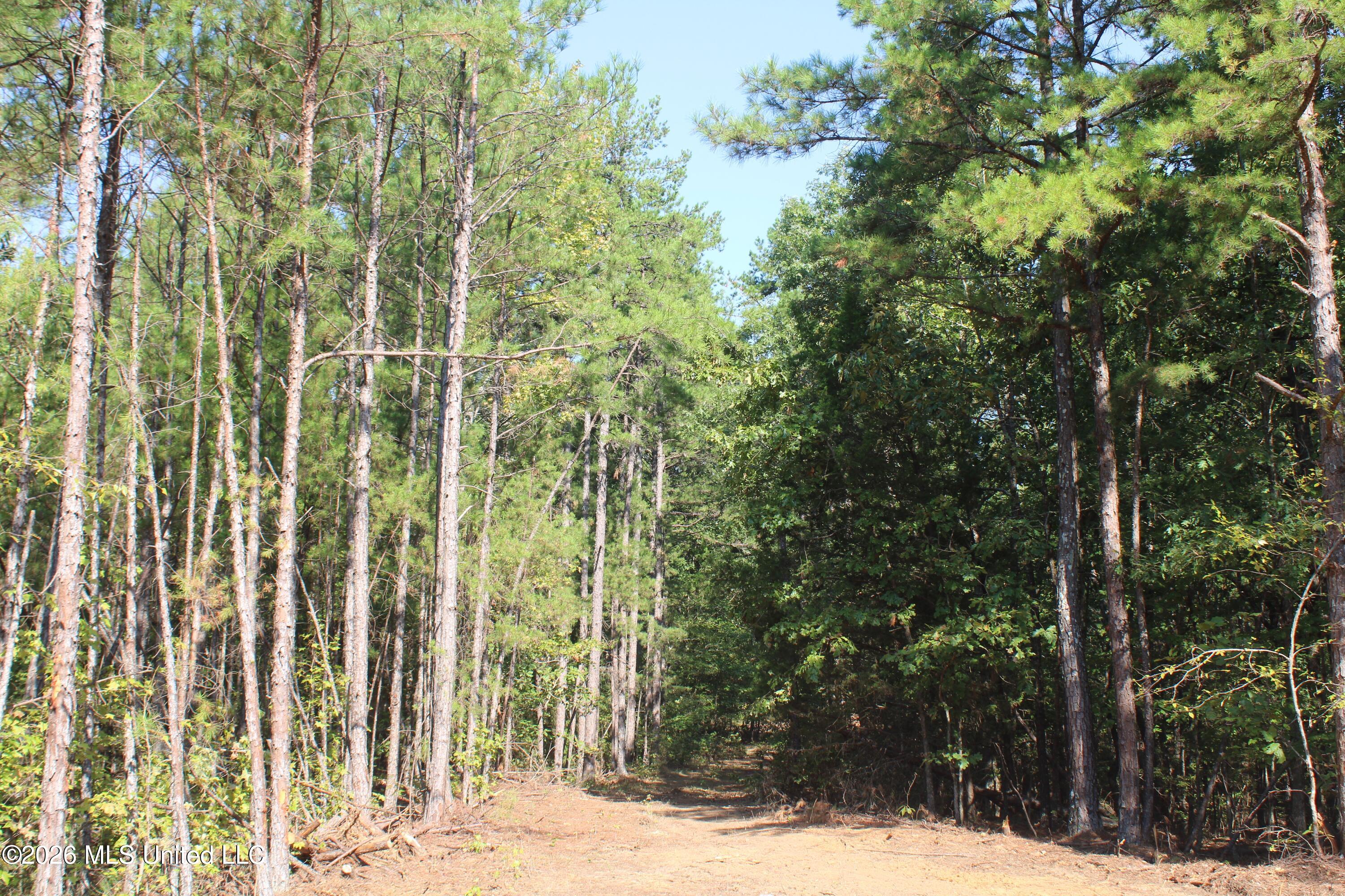 6900 Hwy 370 Property Photo 39