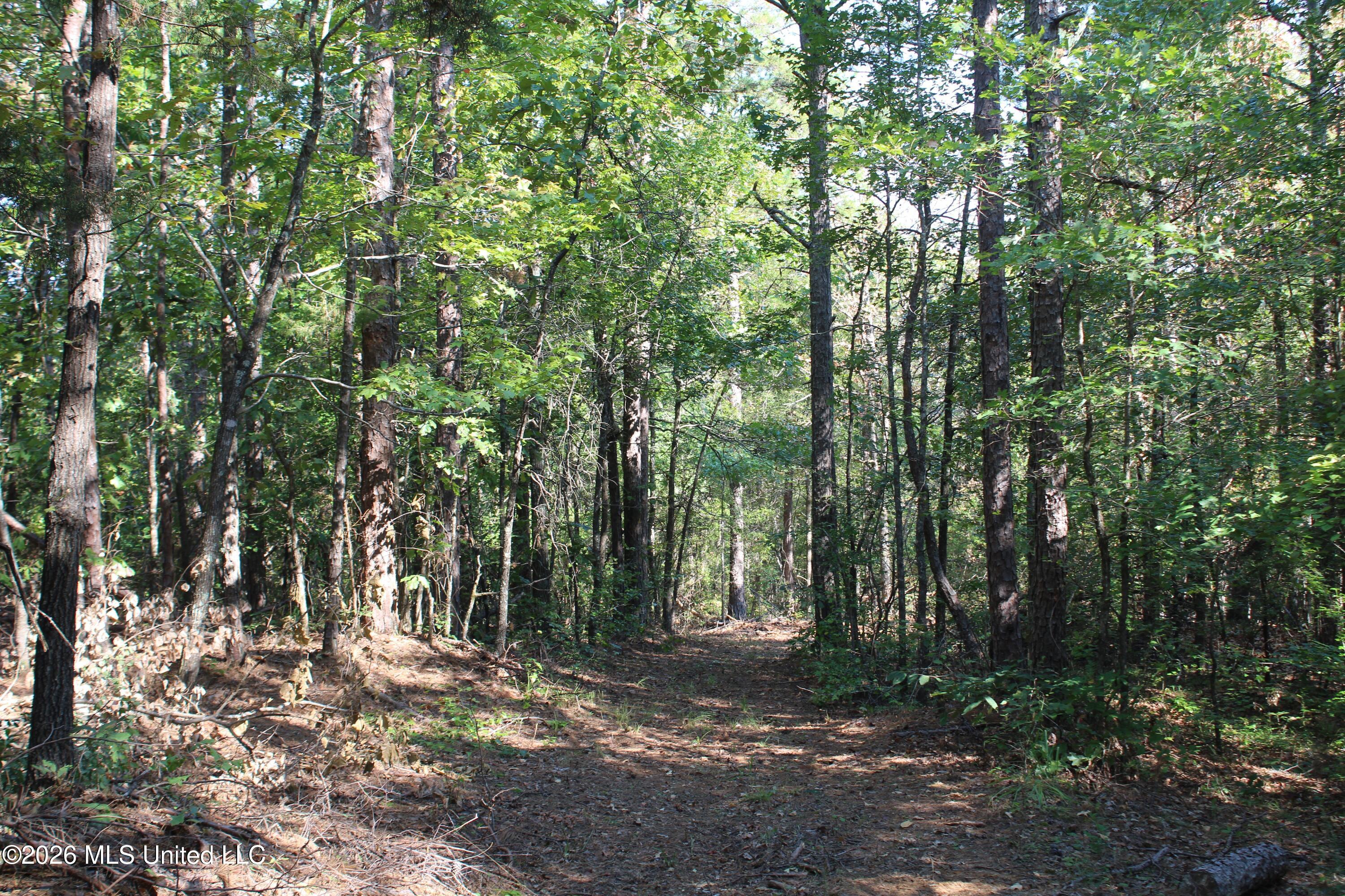 6900 Hwy 370 Property Photo 40