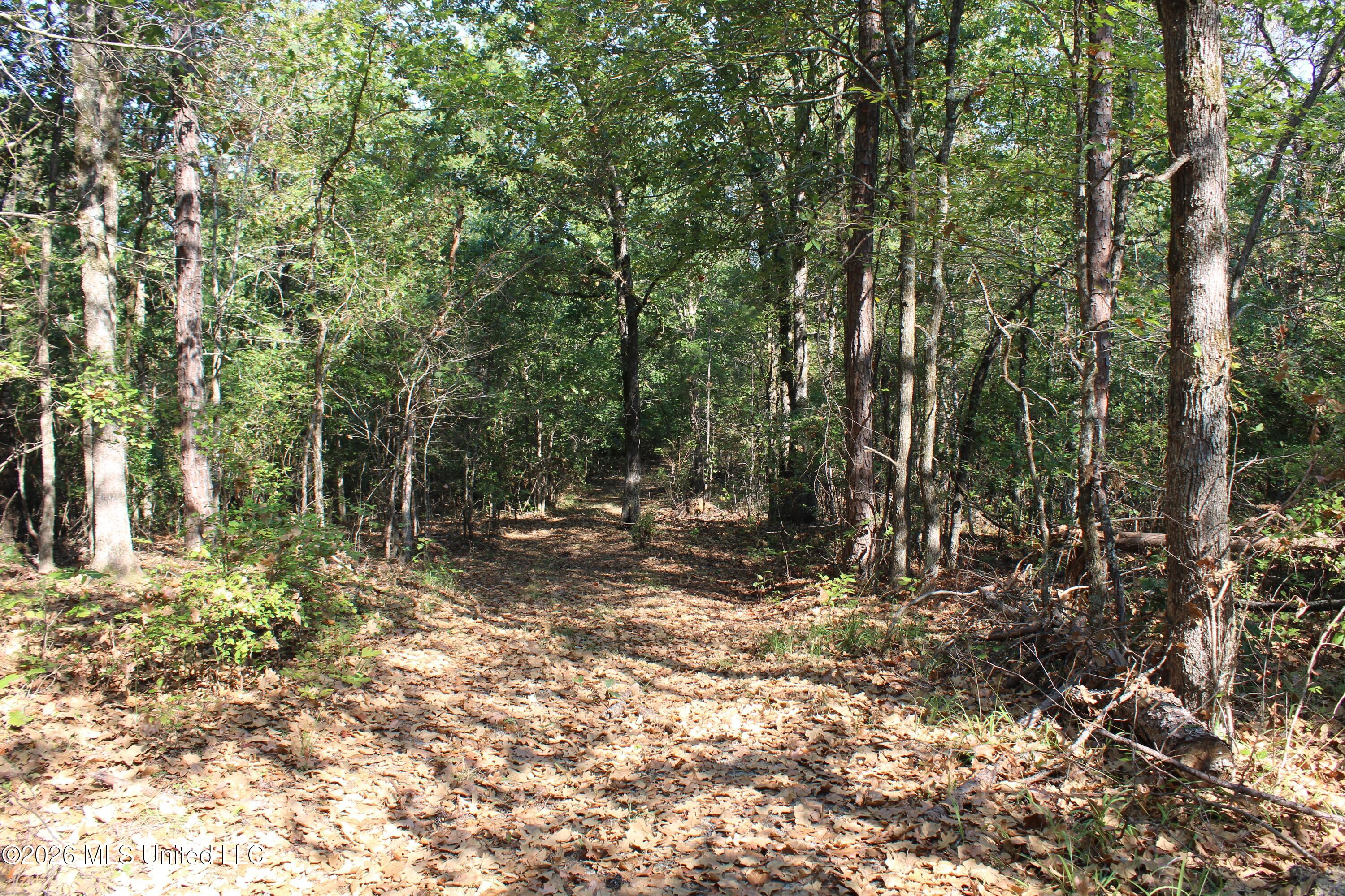 6900 Hwy 370 Property Photo 42