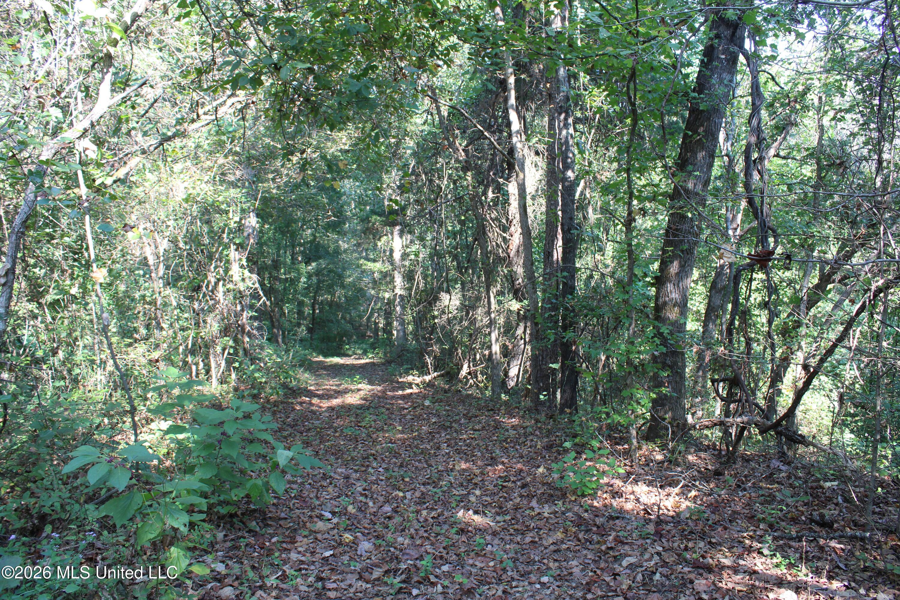 6900 Hwy 370 Property Photo 43