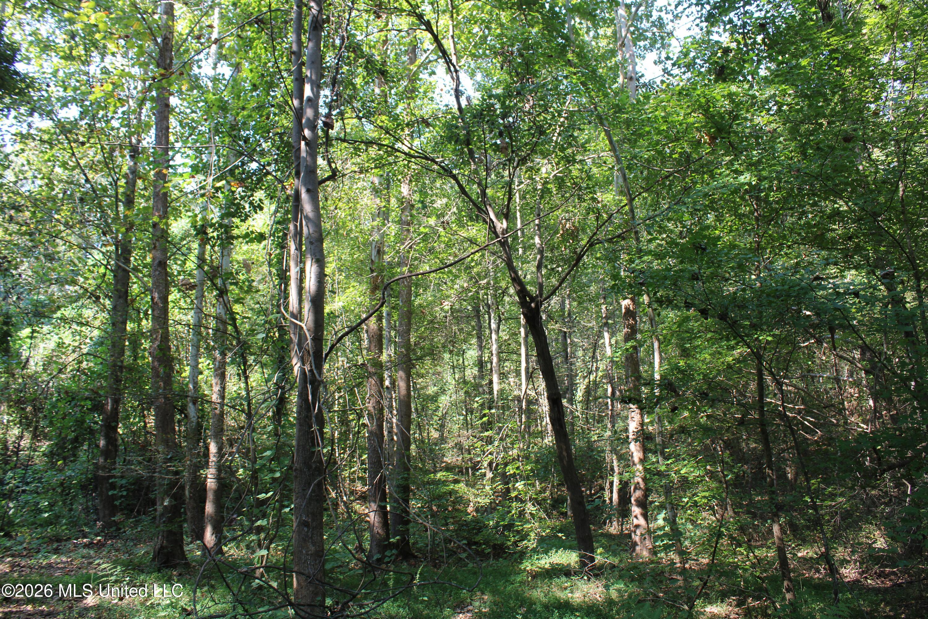 6900 Hwy 370 Property Photo 44